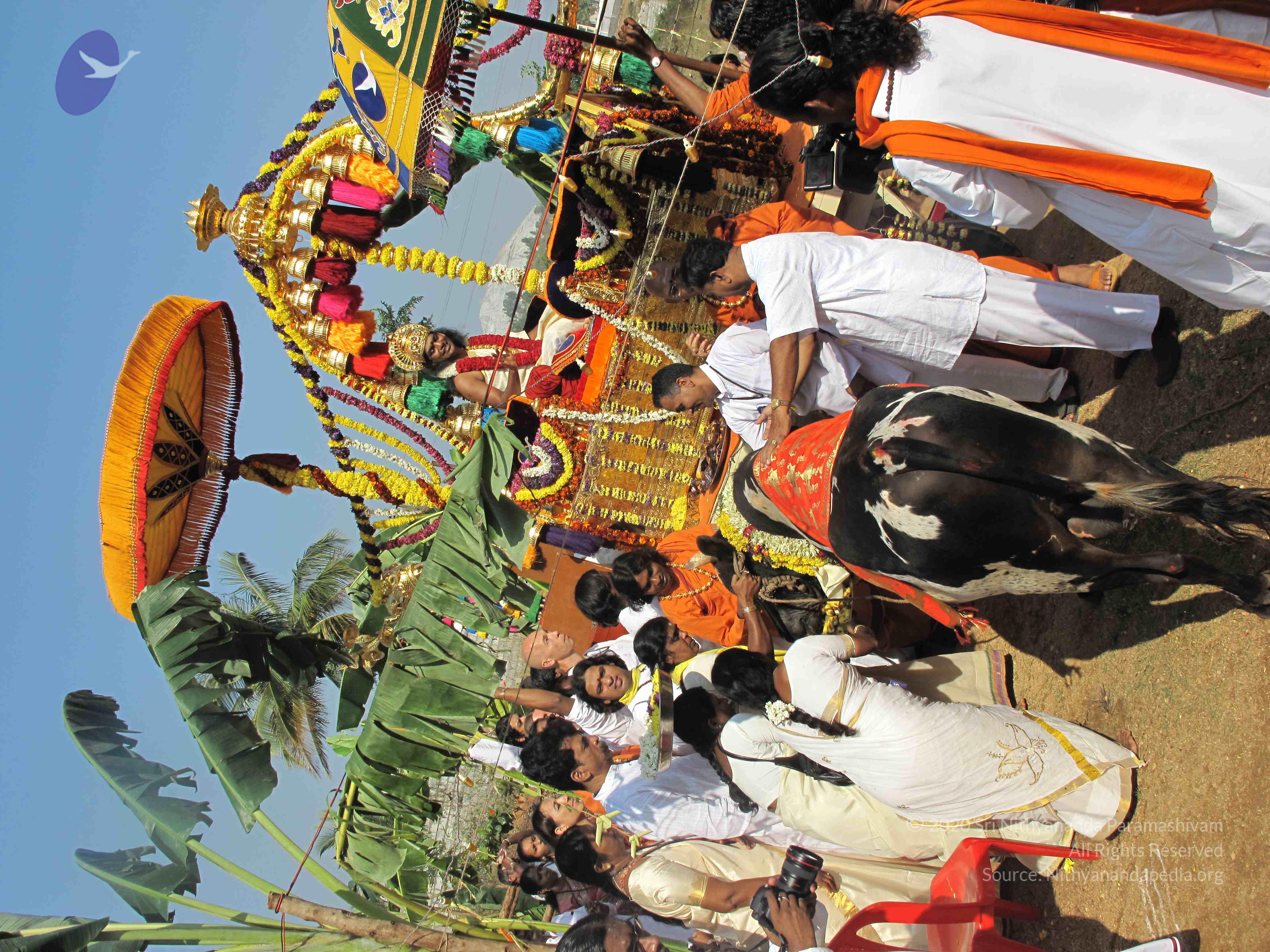 20100101_Photo_1240_IMG_1609_CMP_WM