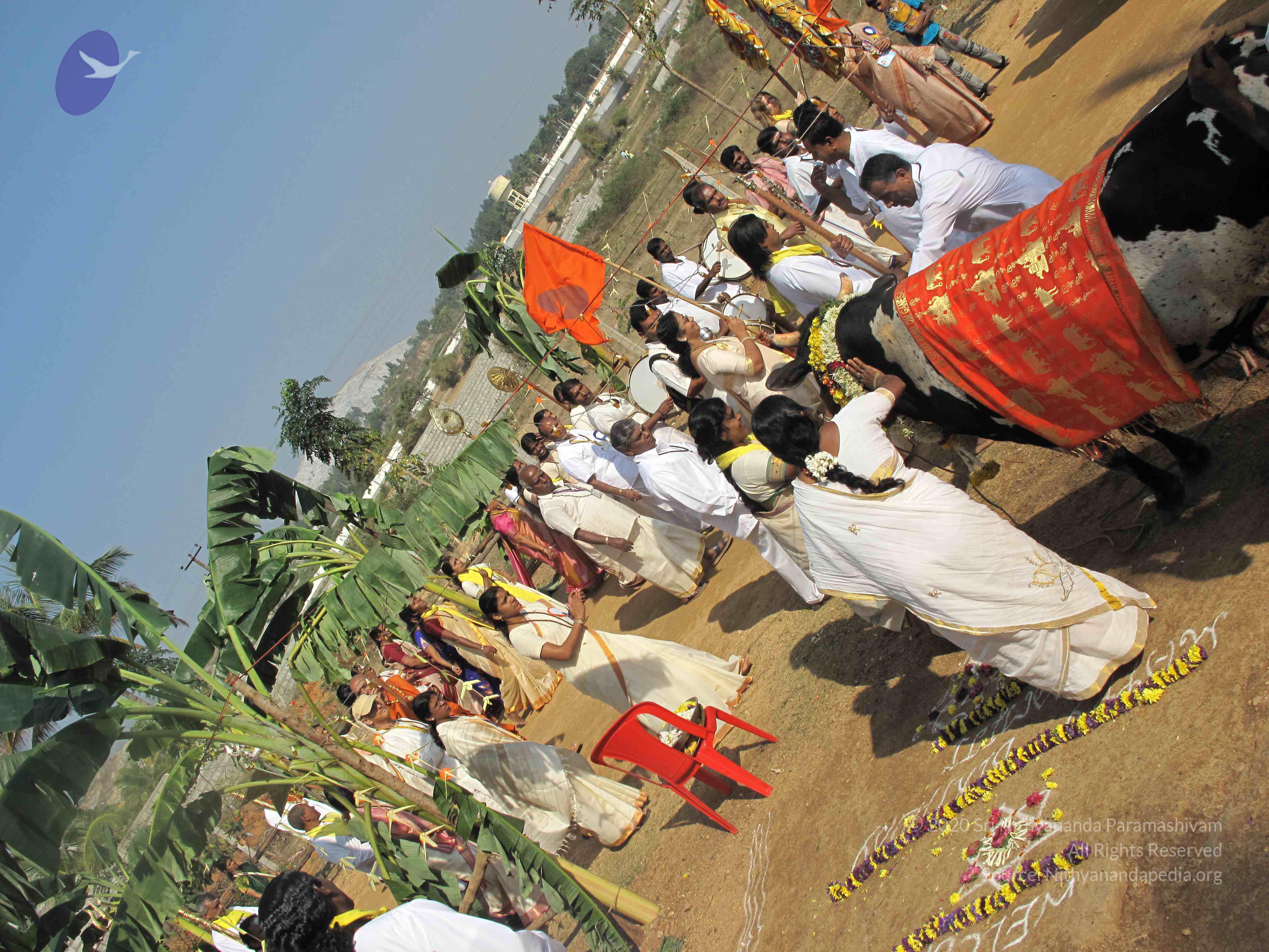 20100101_Photo_1261_IMG_1604_CMP_WM