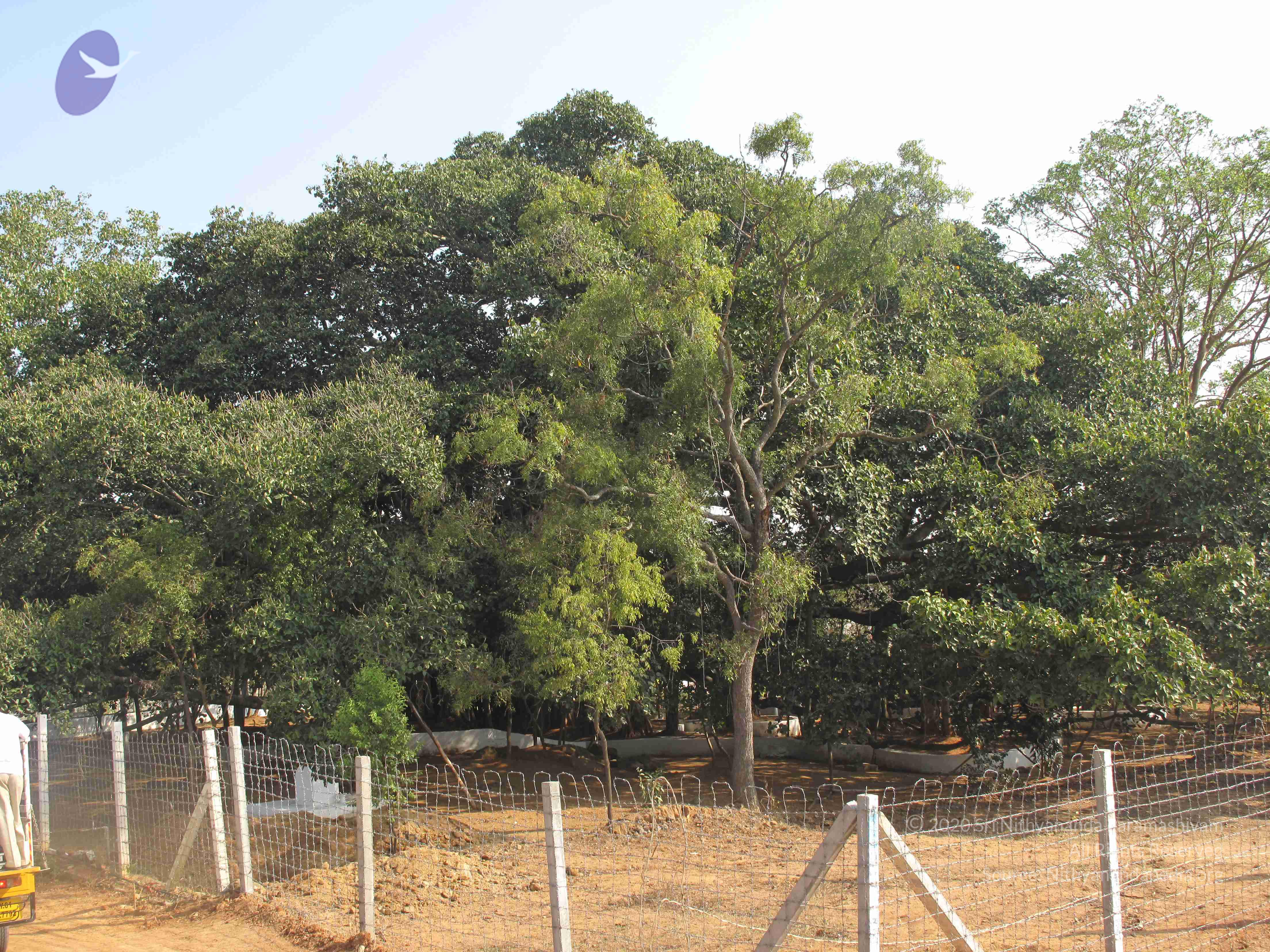 20100101_Photo_1267_IMG_1571_CMP_WM