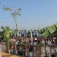 20100101_Photo_1295_IMG_1324_CMP_WM