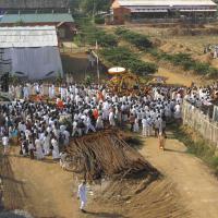 20100101_Photo_1296_IMG_1446_CMP_WM