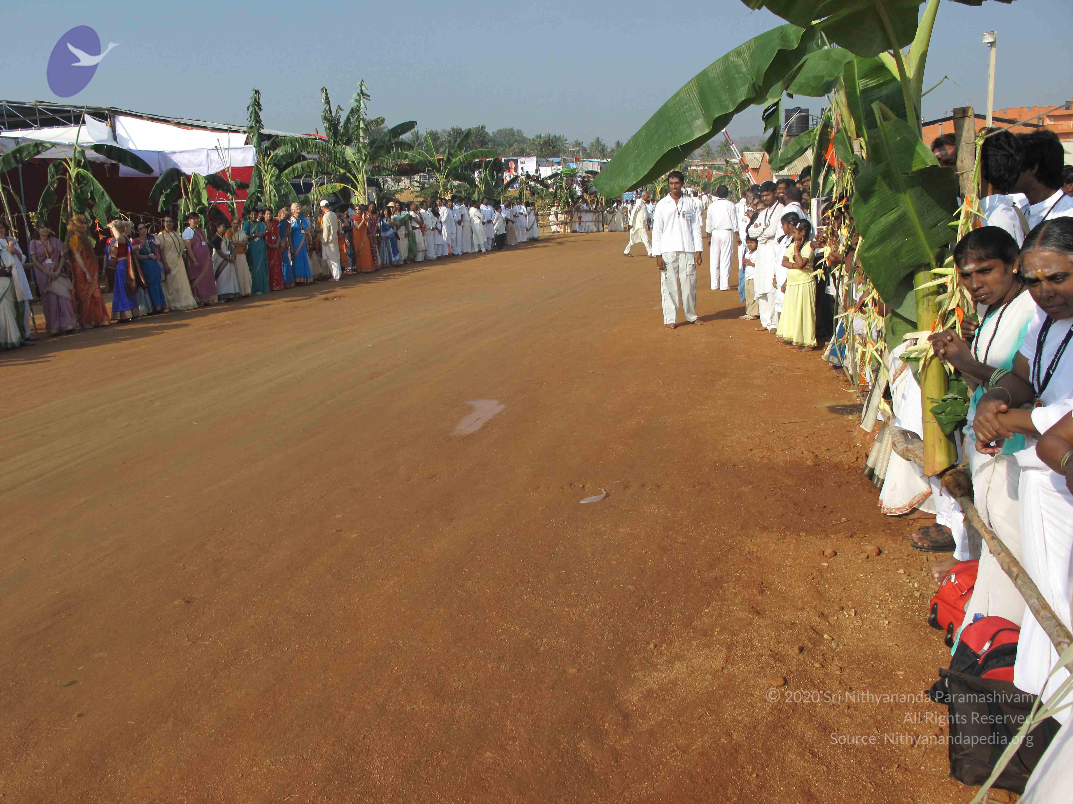 20100101_Photo_1299_IMG_1413_CMP_WM