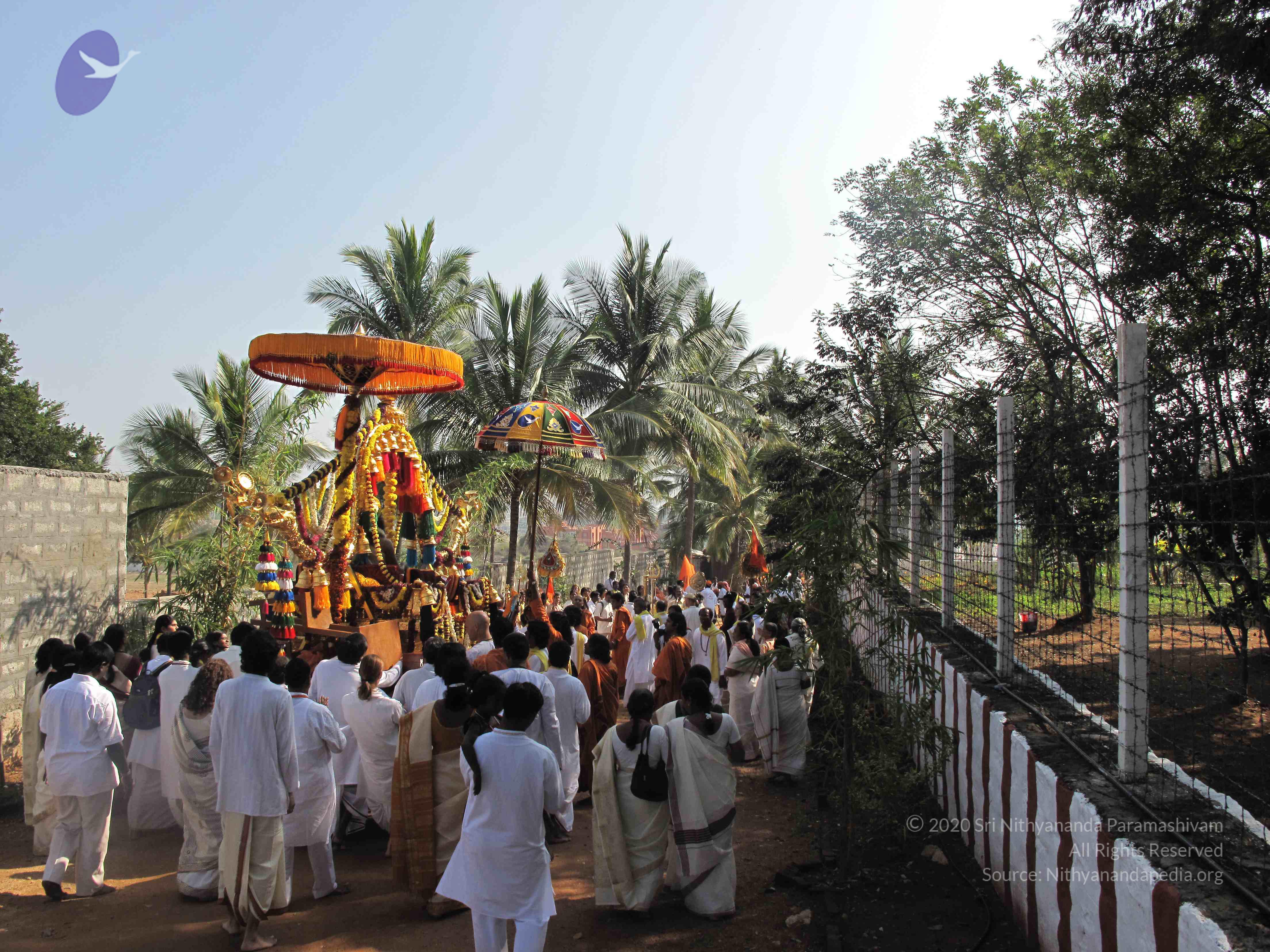 20100101_Photo_1308_IMG_1579_CMP_WM