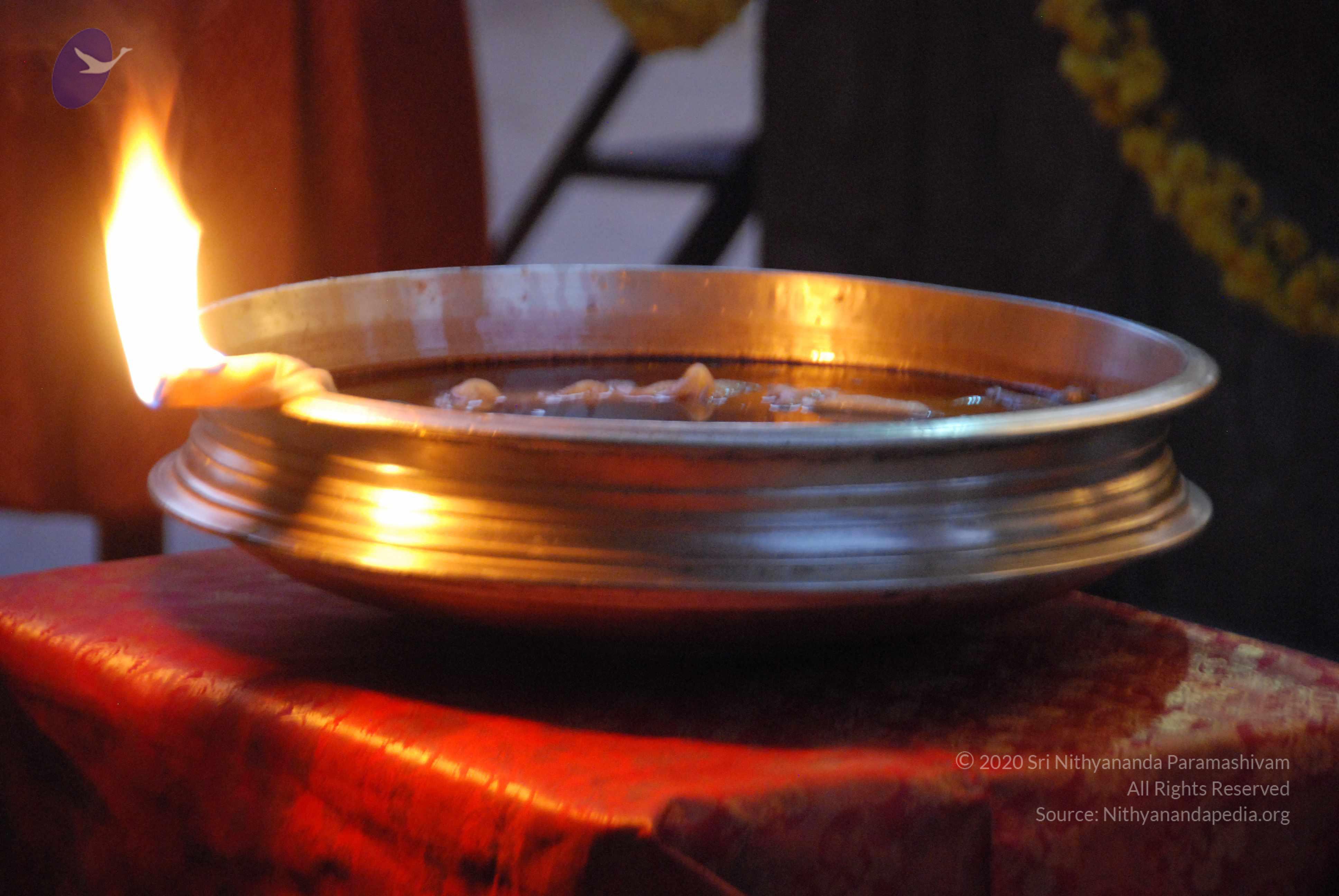 20100101_Photo_1038_DSC_3910_CMP_WM