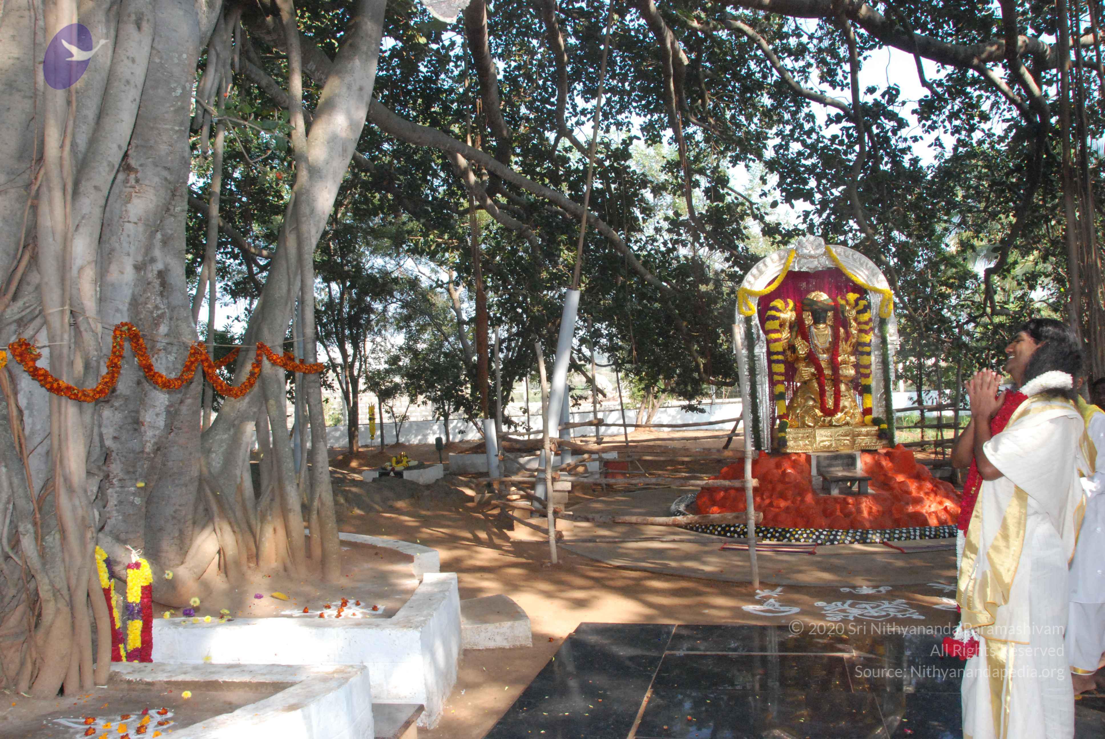 20100101_Photo_1005_DSC_1861_CMP_WM