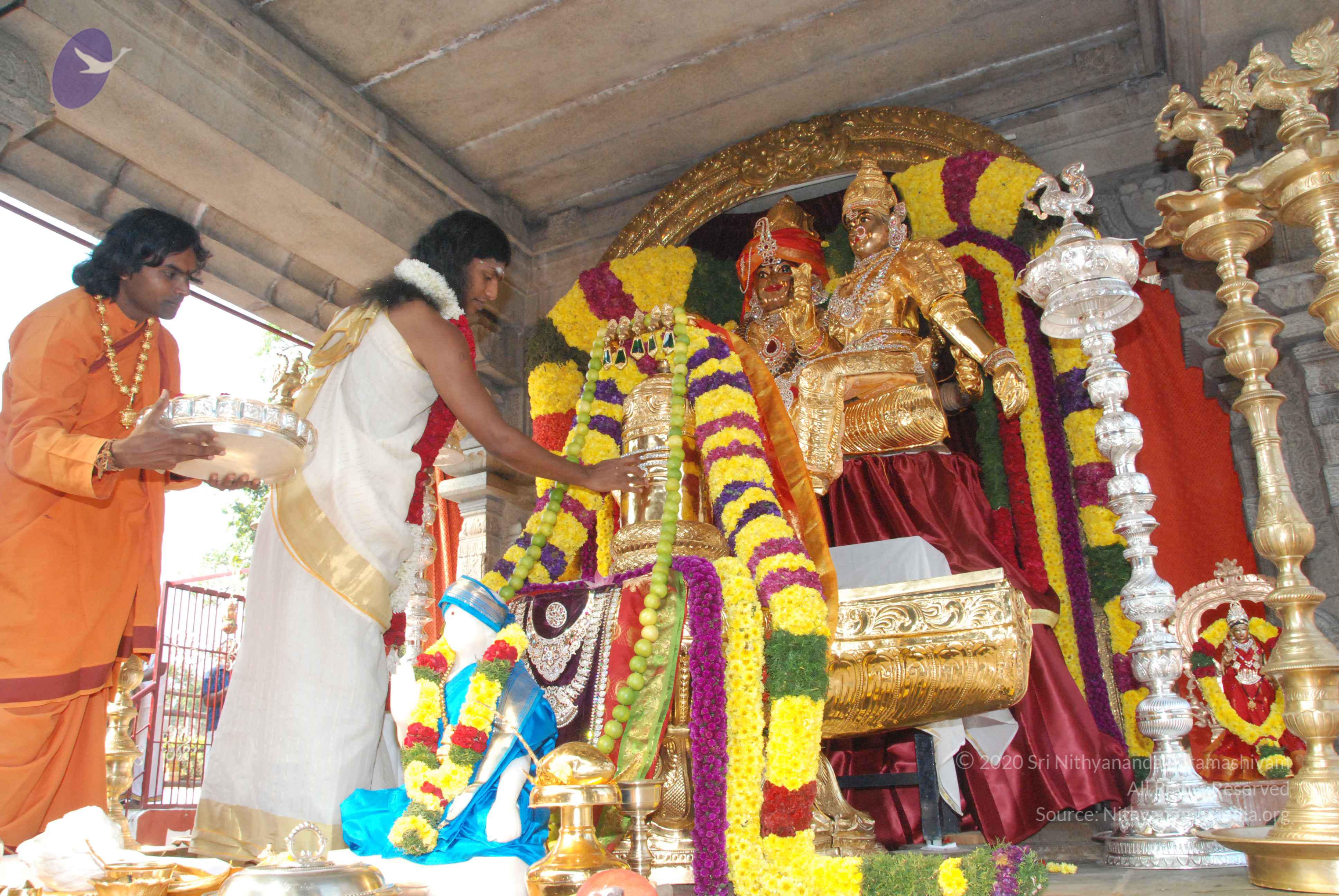 20100101_Photo_1006_DSC_1828_CMP_WM