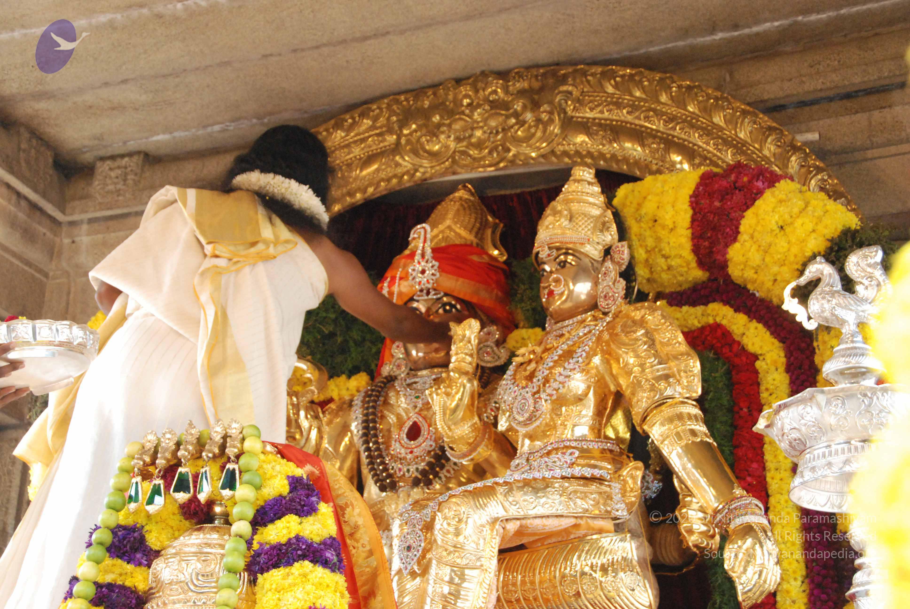 20100101_Photo_1013_DSC_1817_CMP_WM