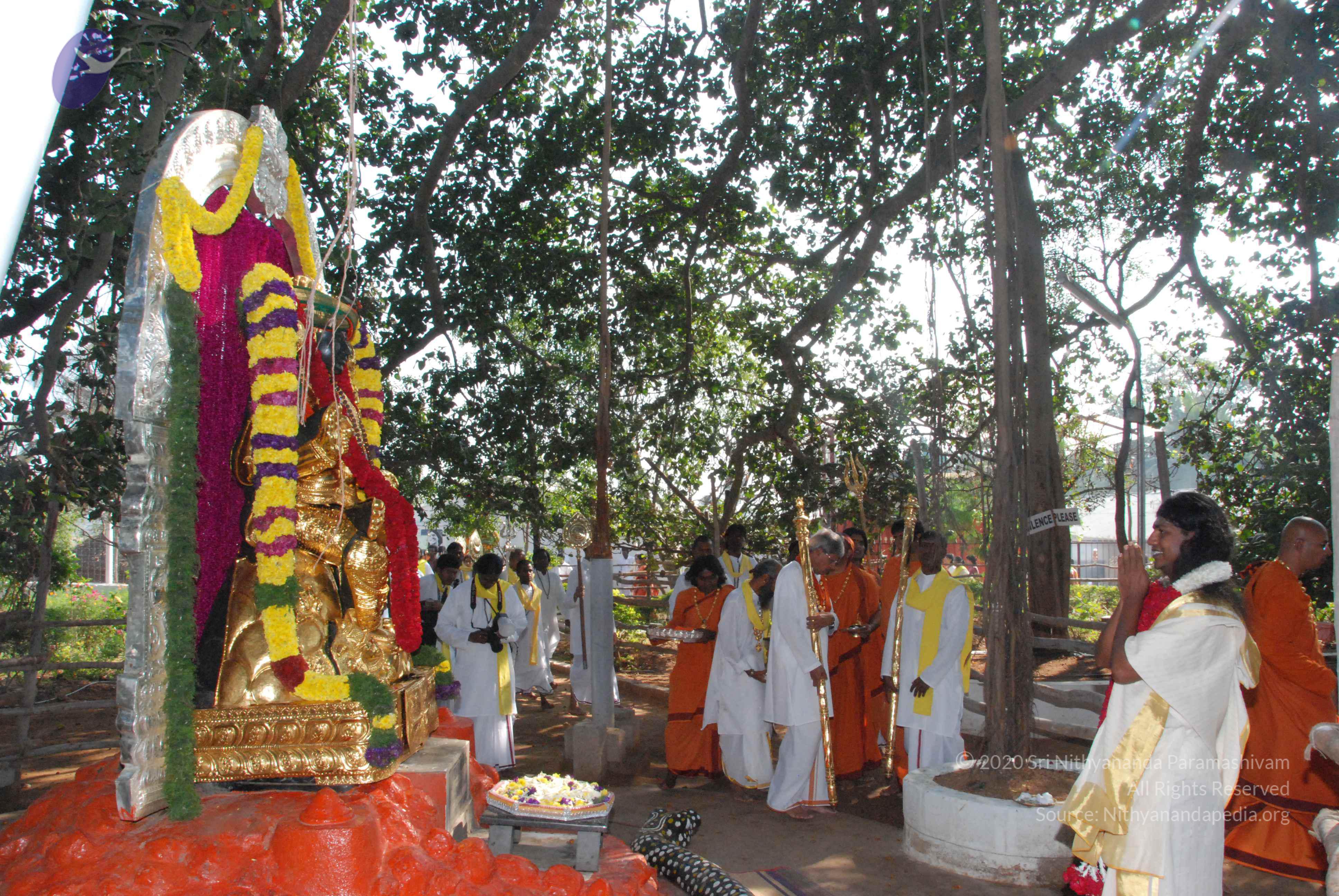 20100101_Photo_1018_DSC_1848_CMP_WM