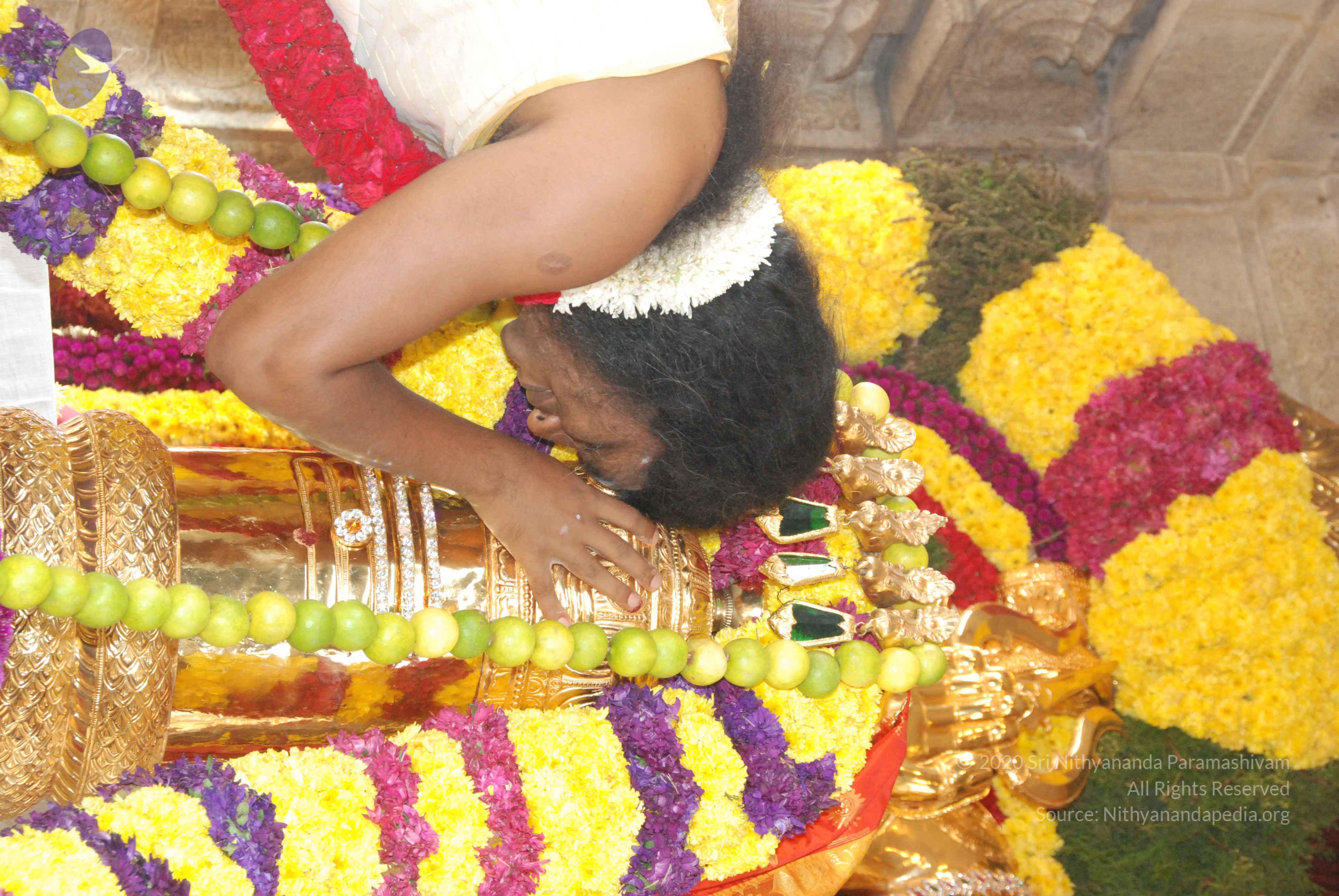 20100101_Photo_1023_DSC_1833_CMP_WM