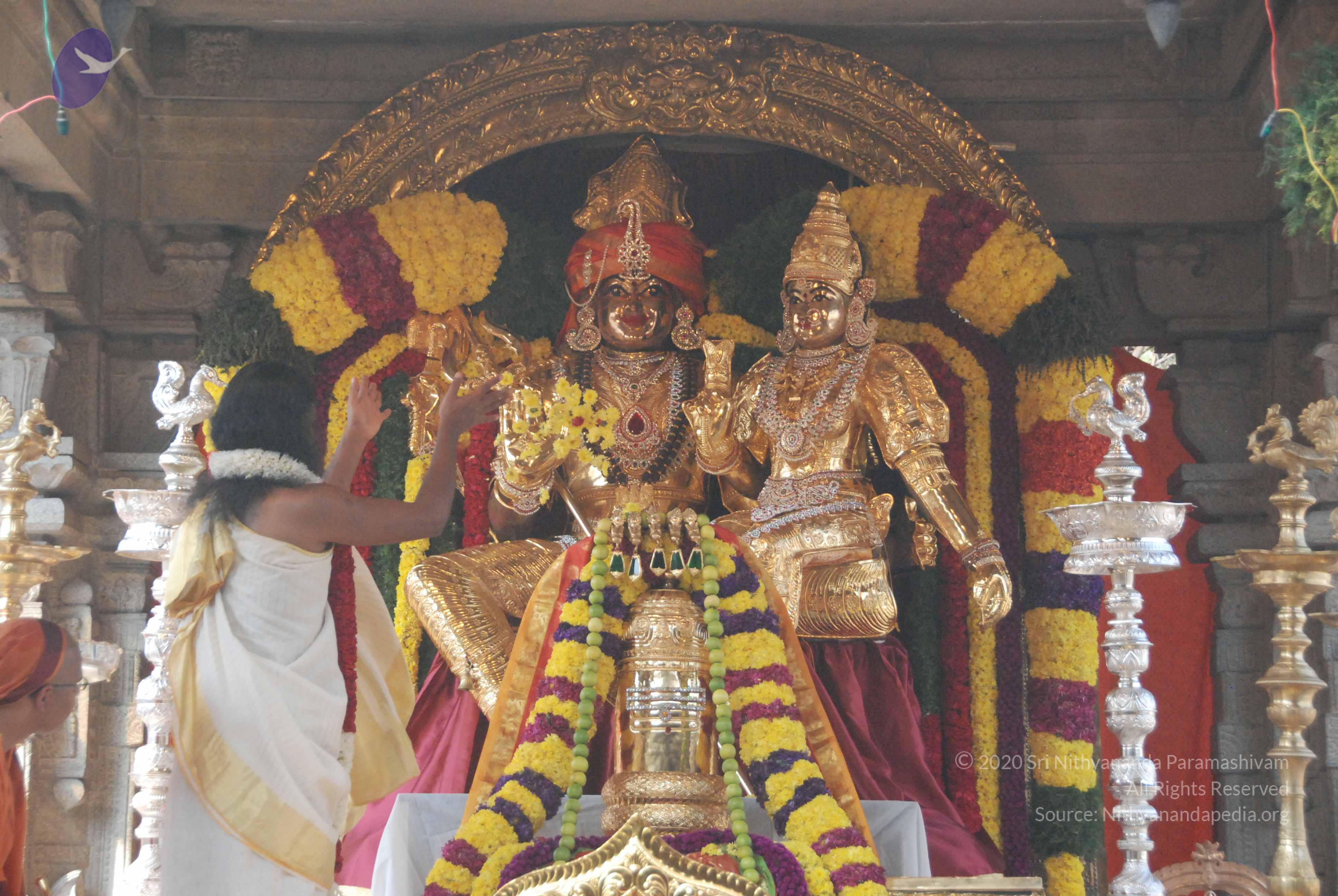 20100101_Photo_1026_DSC_1840_CMP_WM