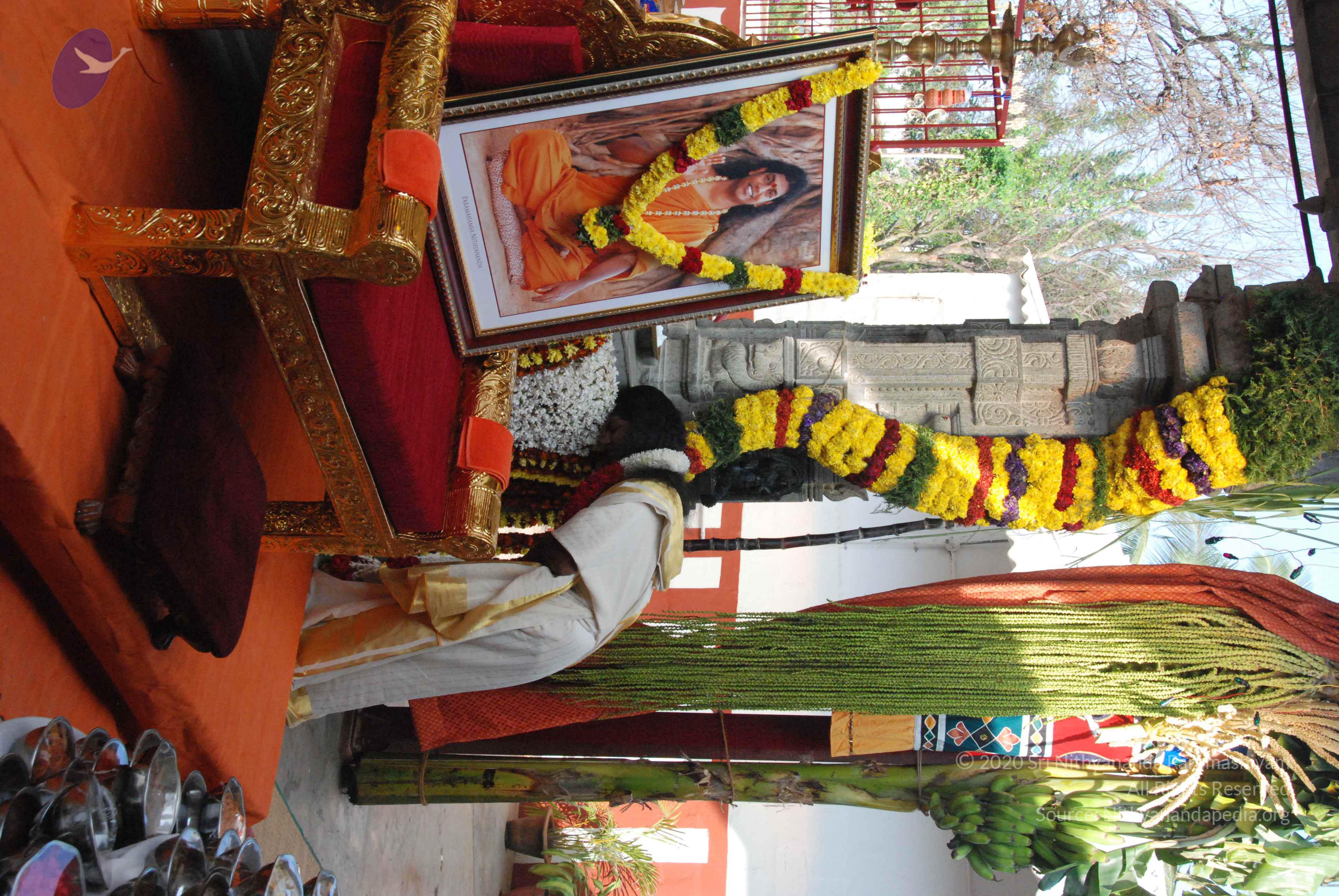 20100101_Photo_1027_DSC_1815_CMP_WM