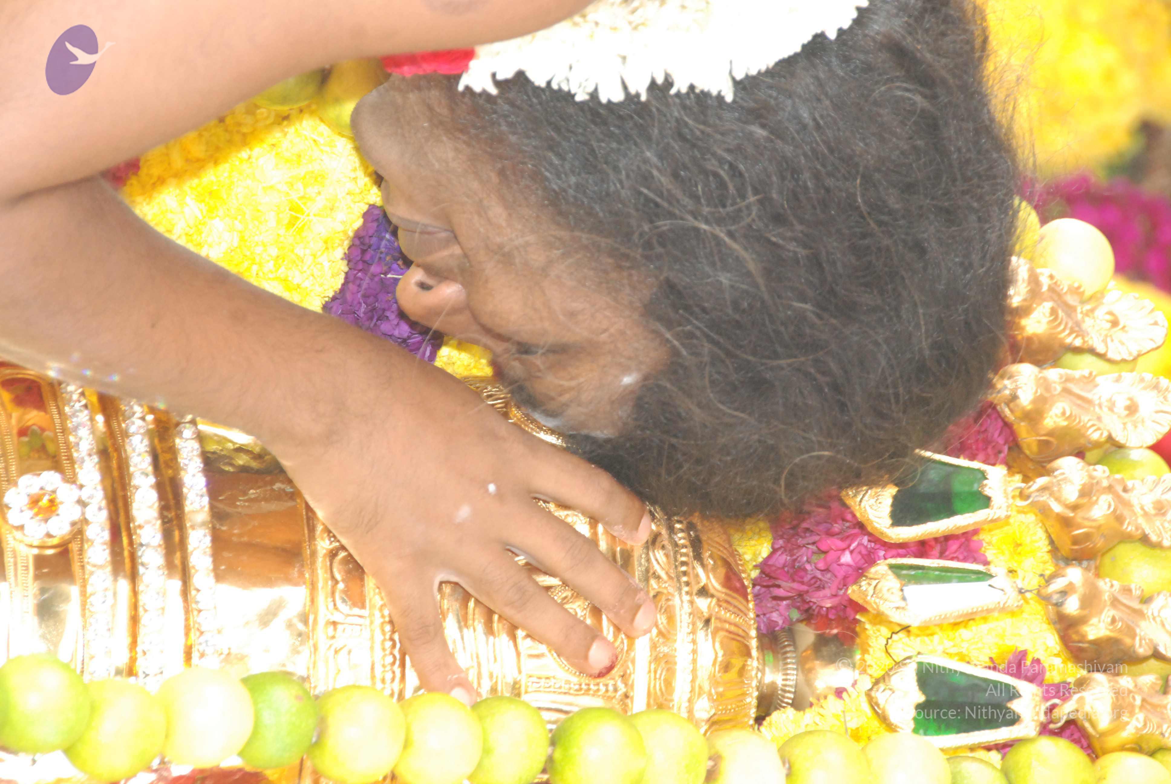 20100101_Photo_1044_DSC_1832_CMP_WM