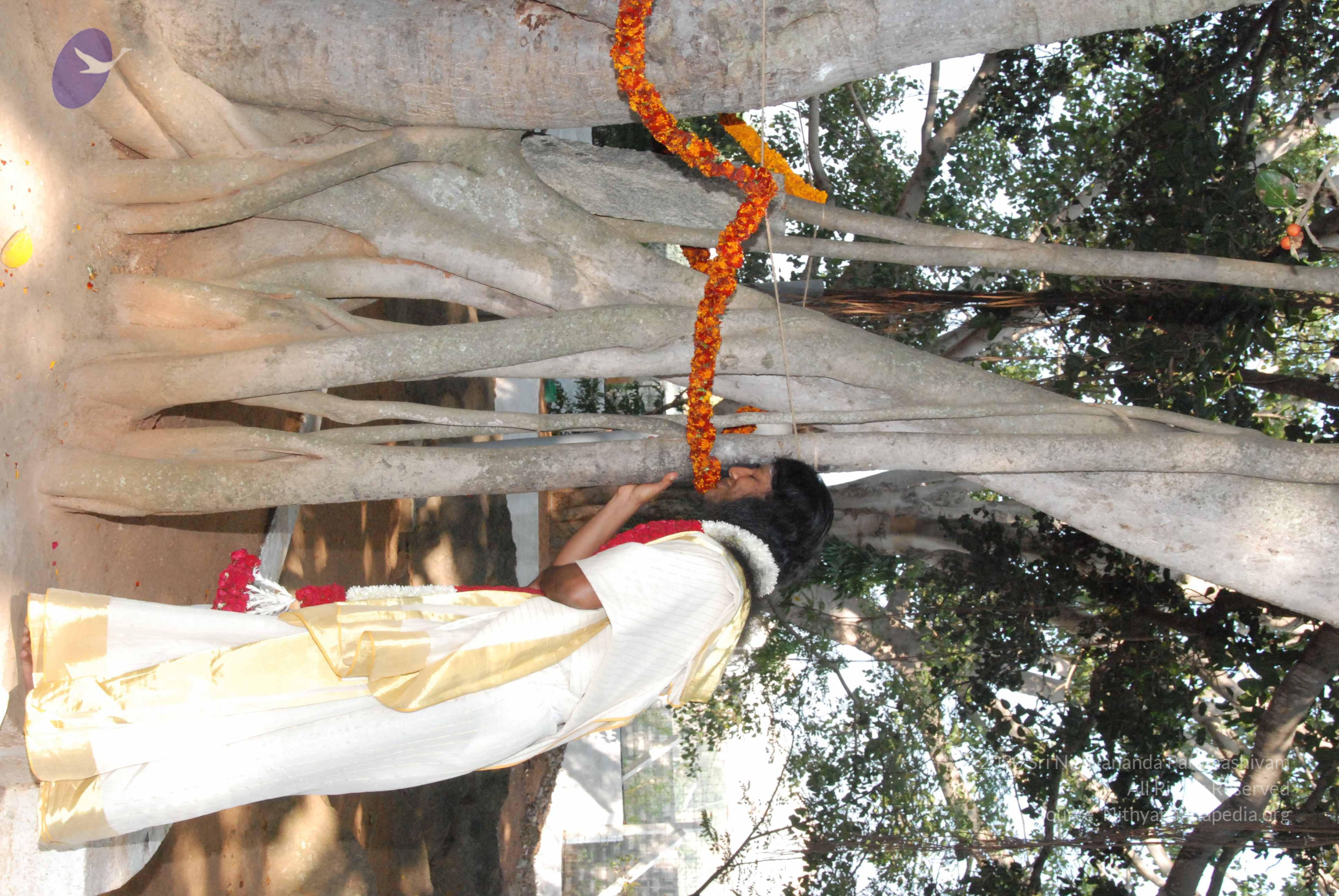 20100101_Photo_1045_DSC_1850_CMP_WM