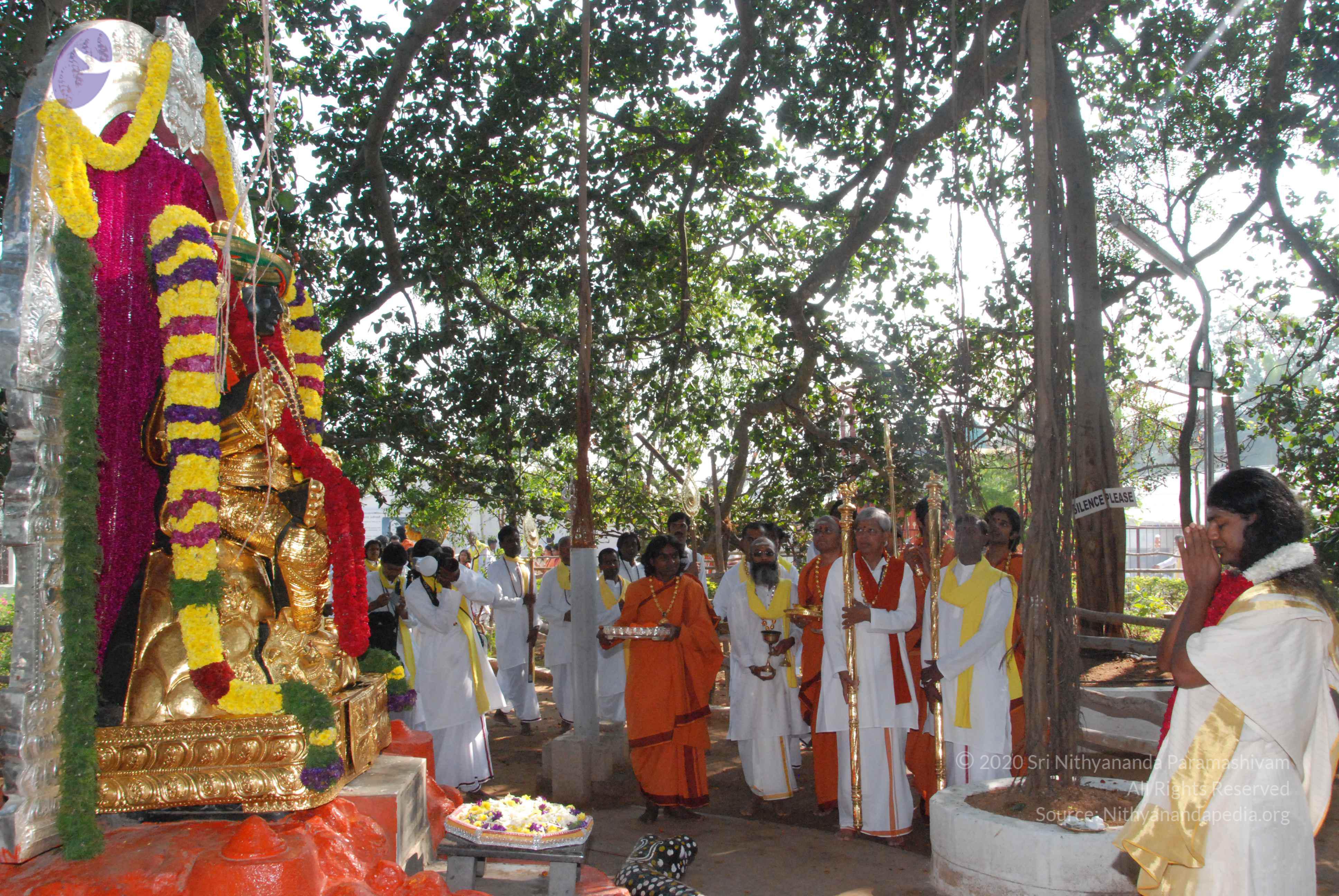 20100101_Photo_1052_DSC_1849_CMP_WM