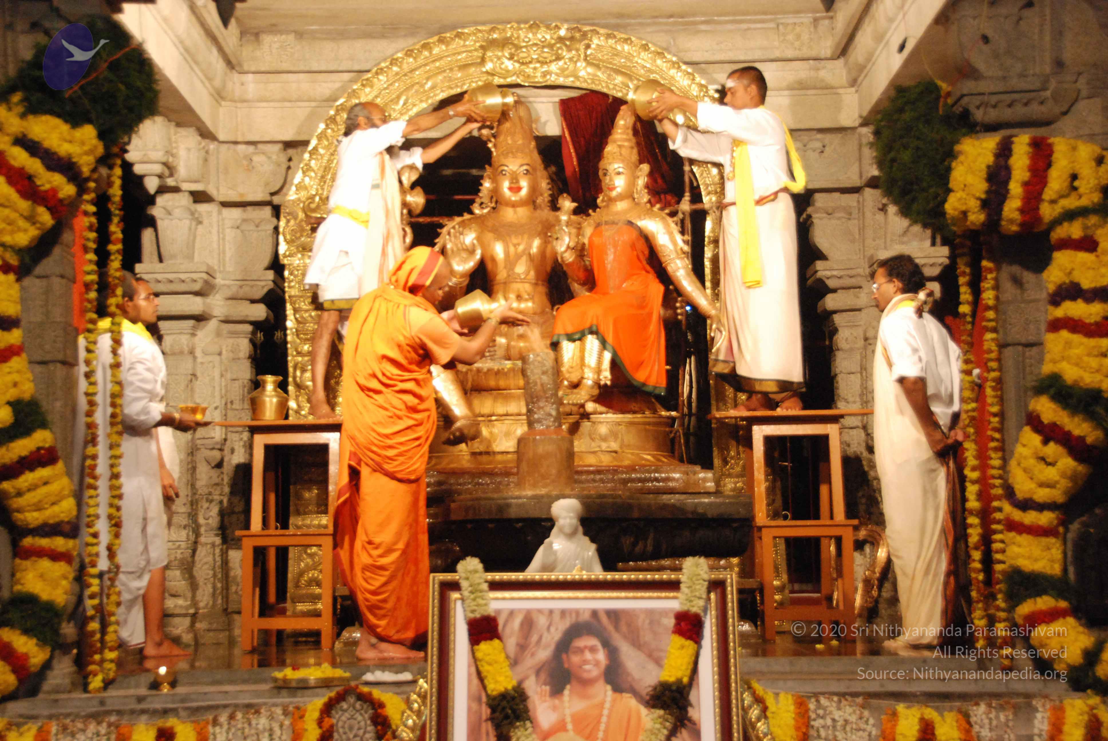 20100101_Photo_1012_DSC_1548_CMP_WM