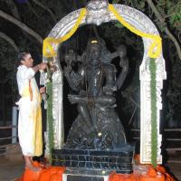 20100101_Photo_1023_DSC_1578_CMP_WM