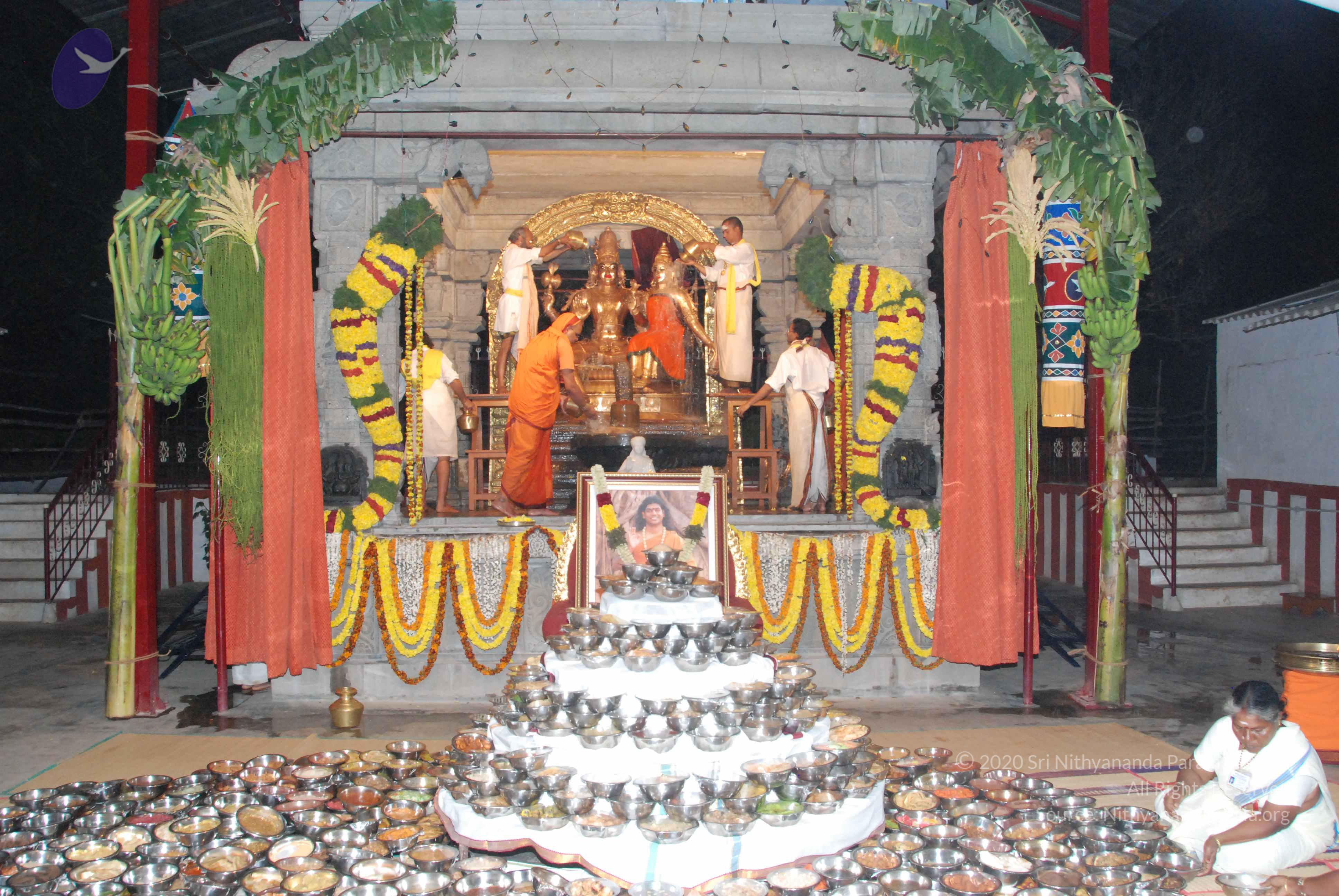 20100101_Photo_1025_DSC_1553_CMP_WM