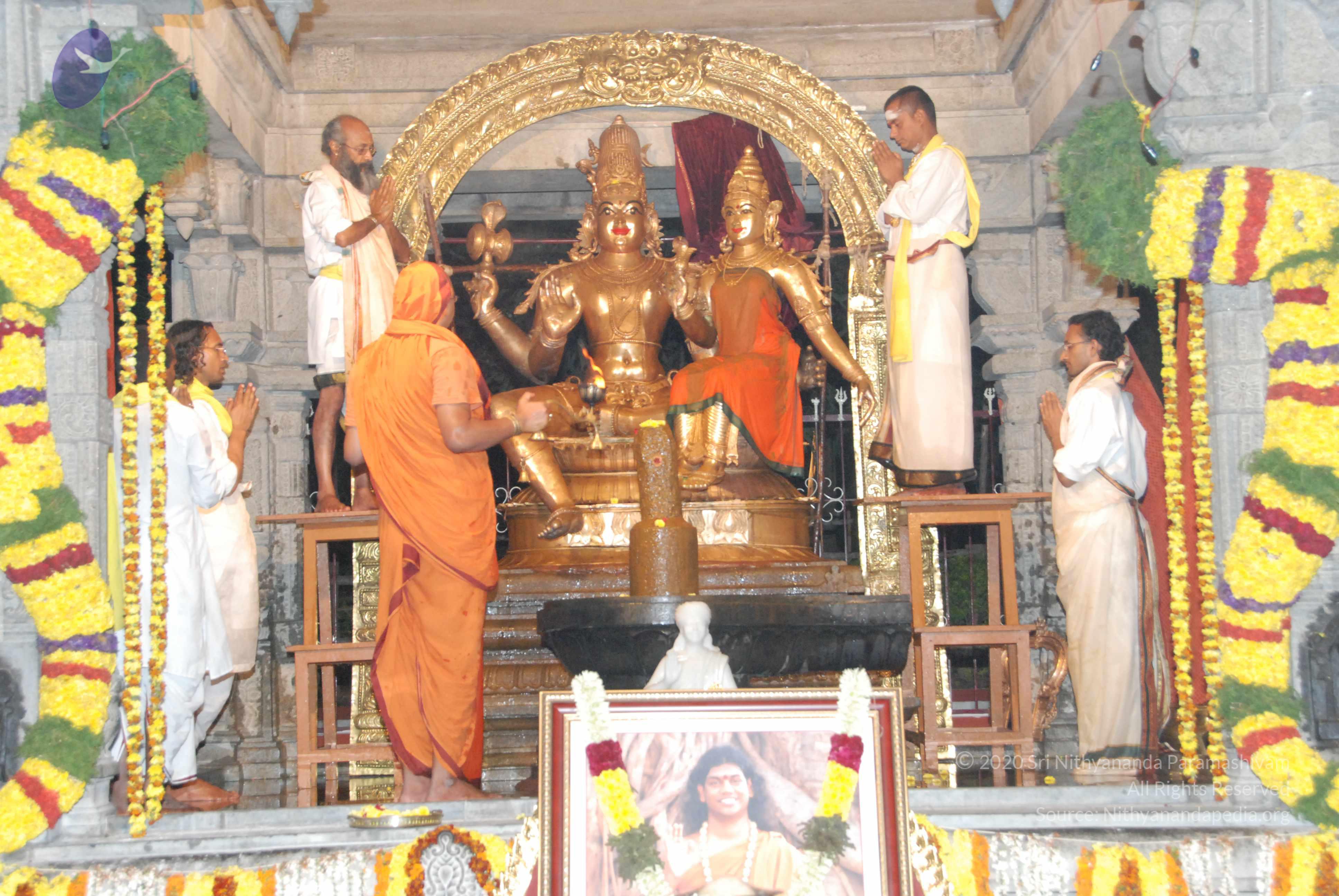 20100101_Photo_1026_DSC_1564_CMP_WM