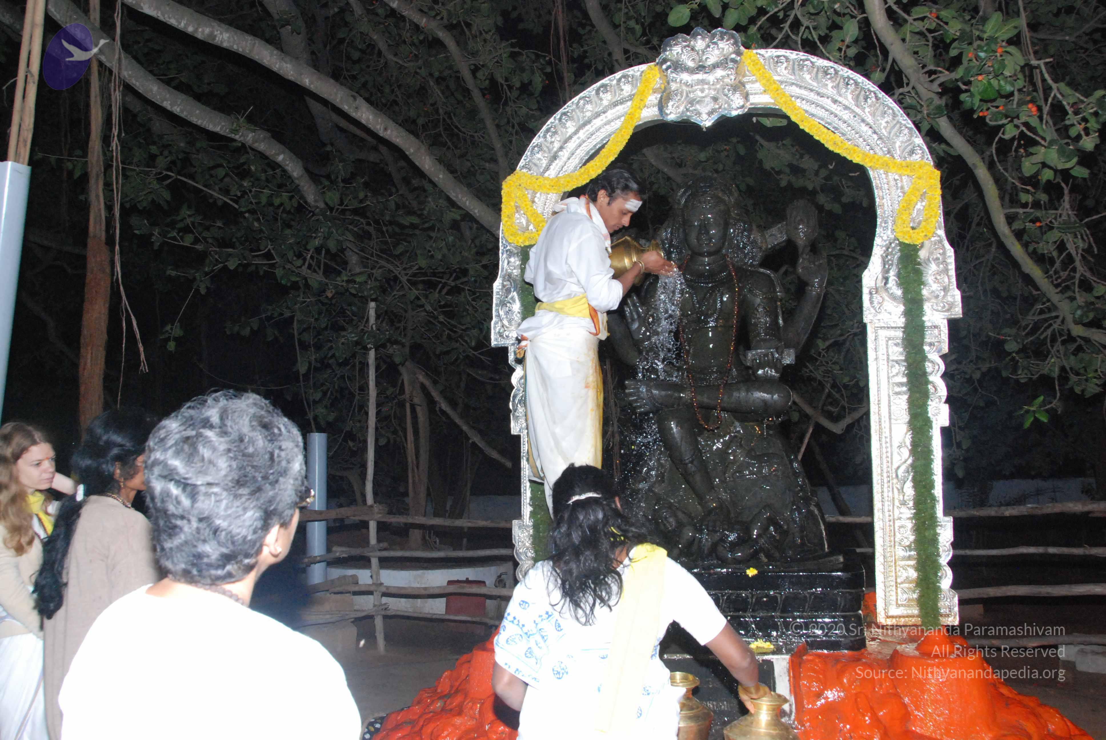 20100101_Photo_1027_DSC_1582_CMP_WM