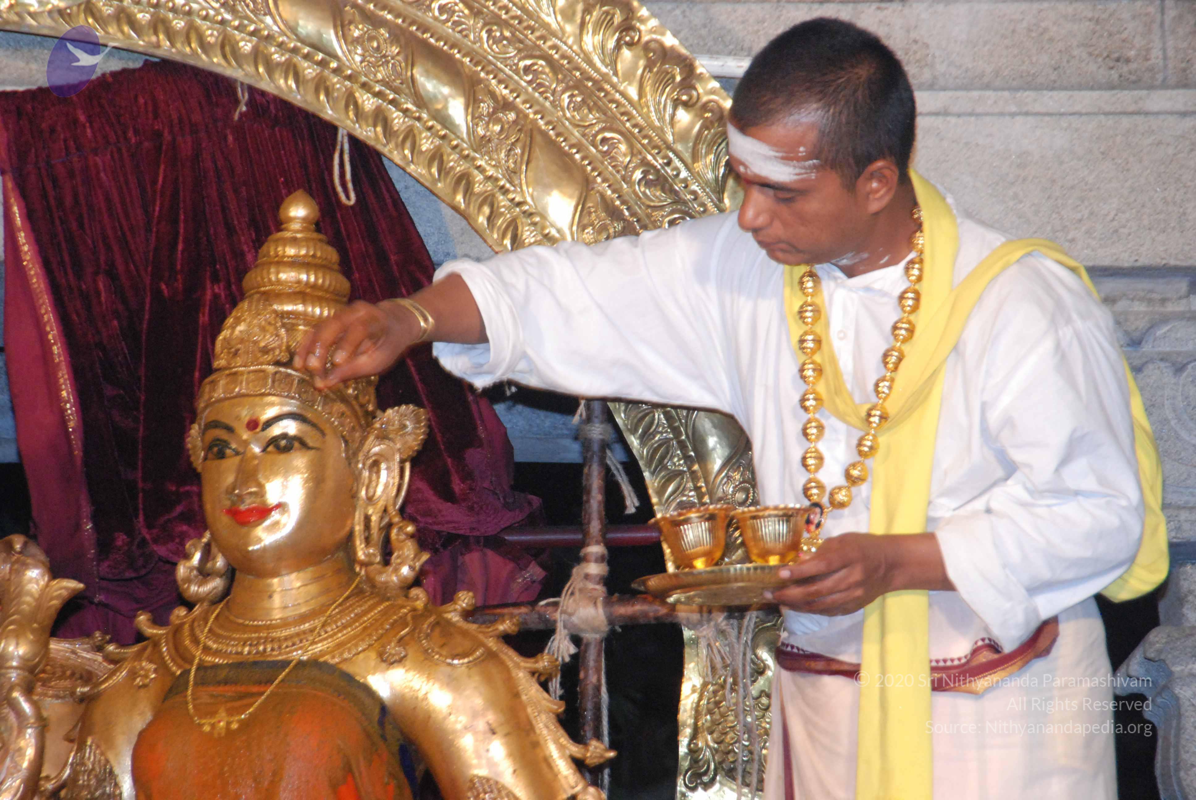 20100101_Photo_1029_DSC_1561_CMP_WM