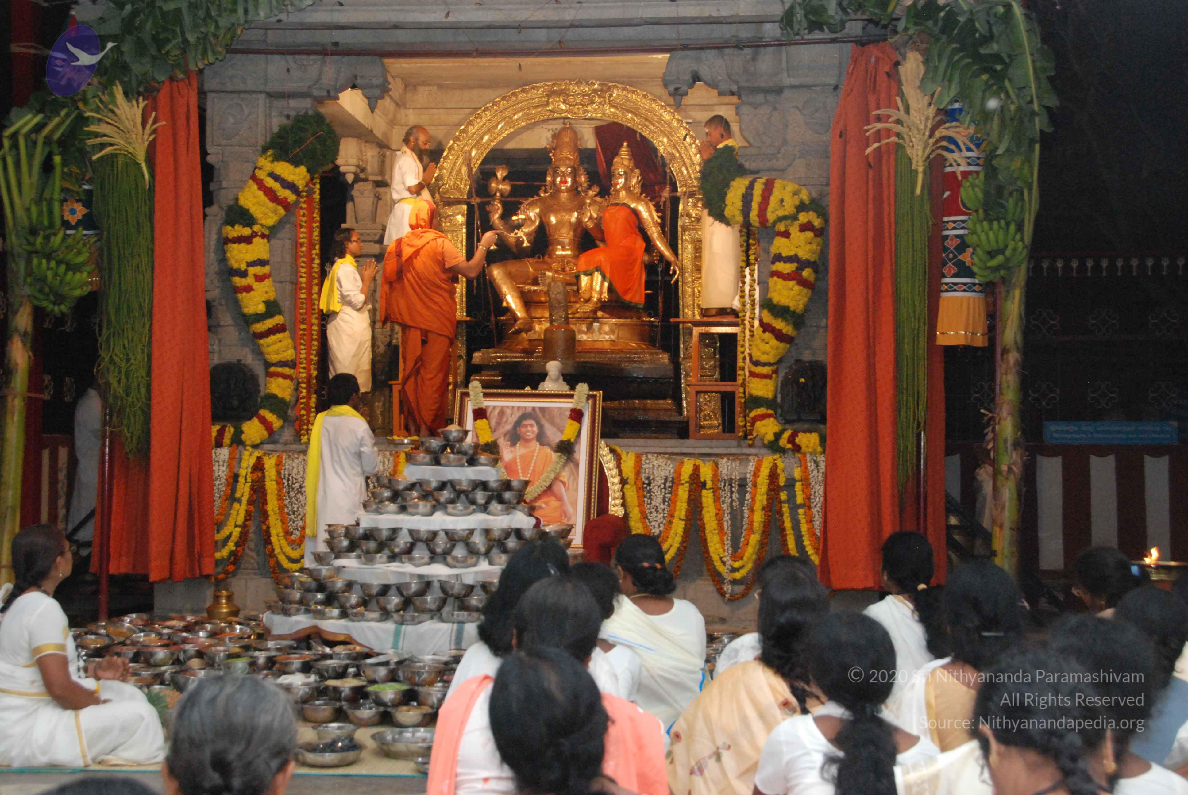 20100101_Photo_1033_DSC_1593_CMP_WM