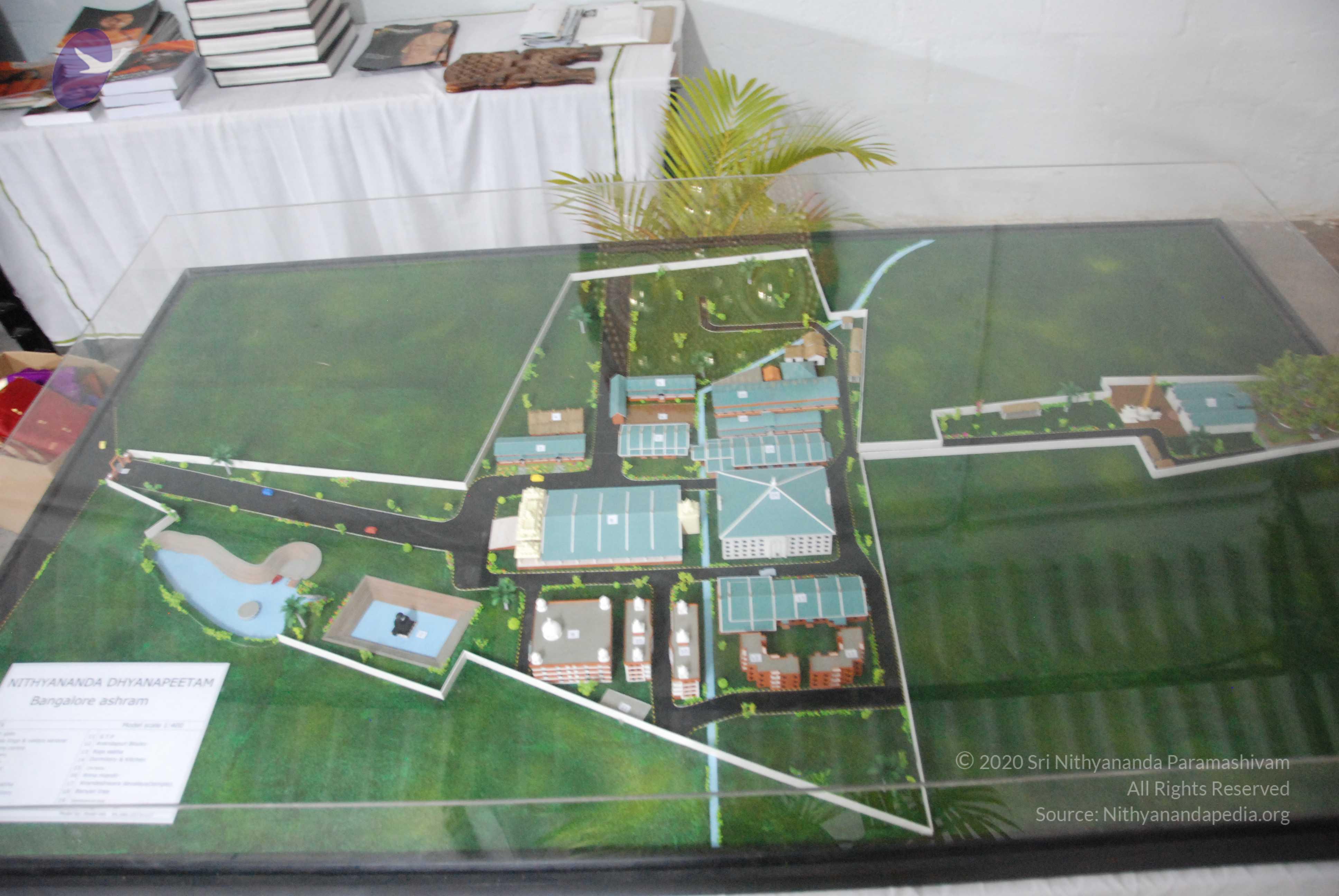 20100101_Photo_1034_DSC_1537_CMP_WM