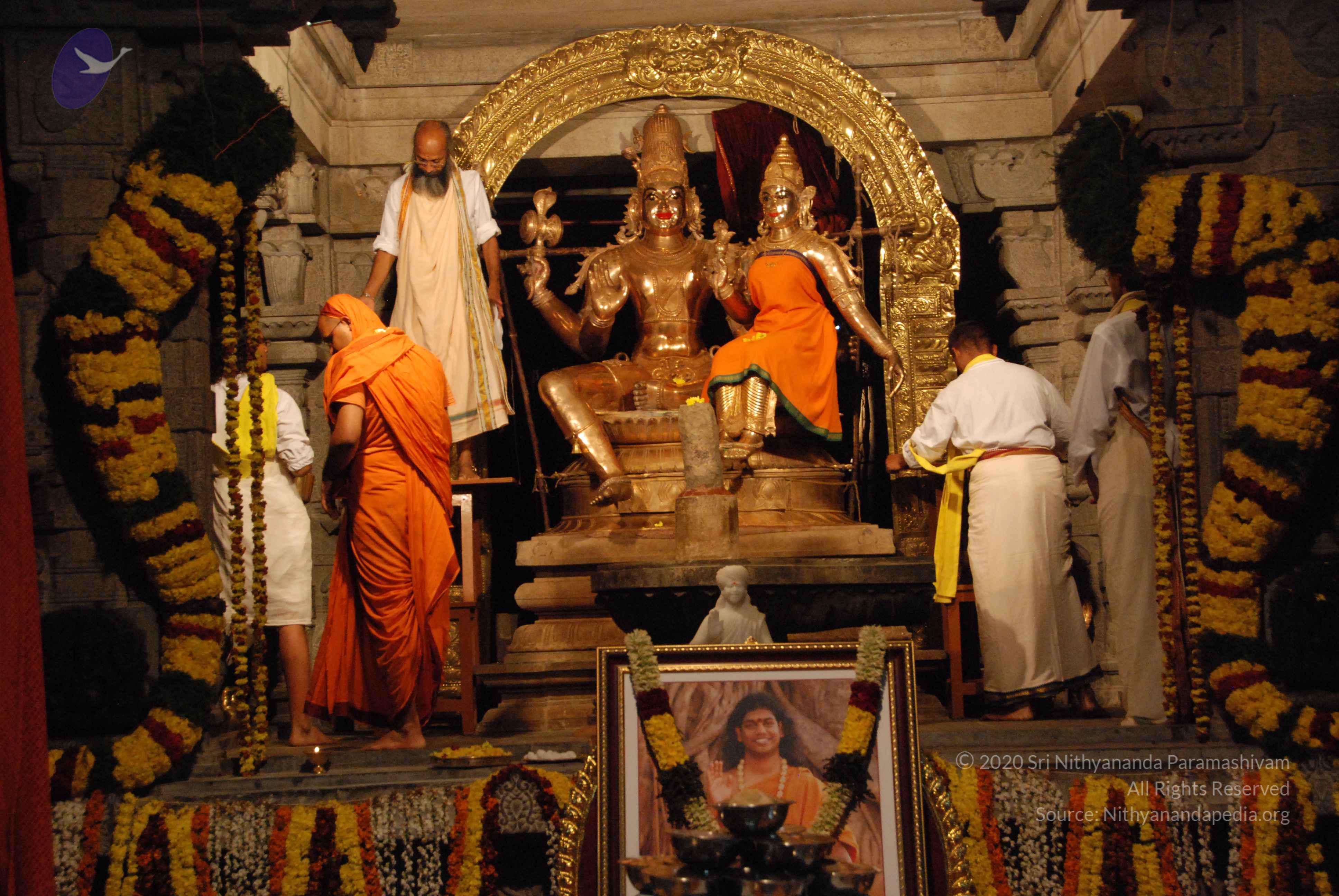 20100101_Photo_1041_DSC_1544_CMP_WM