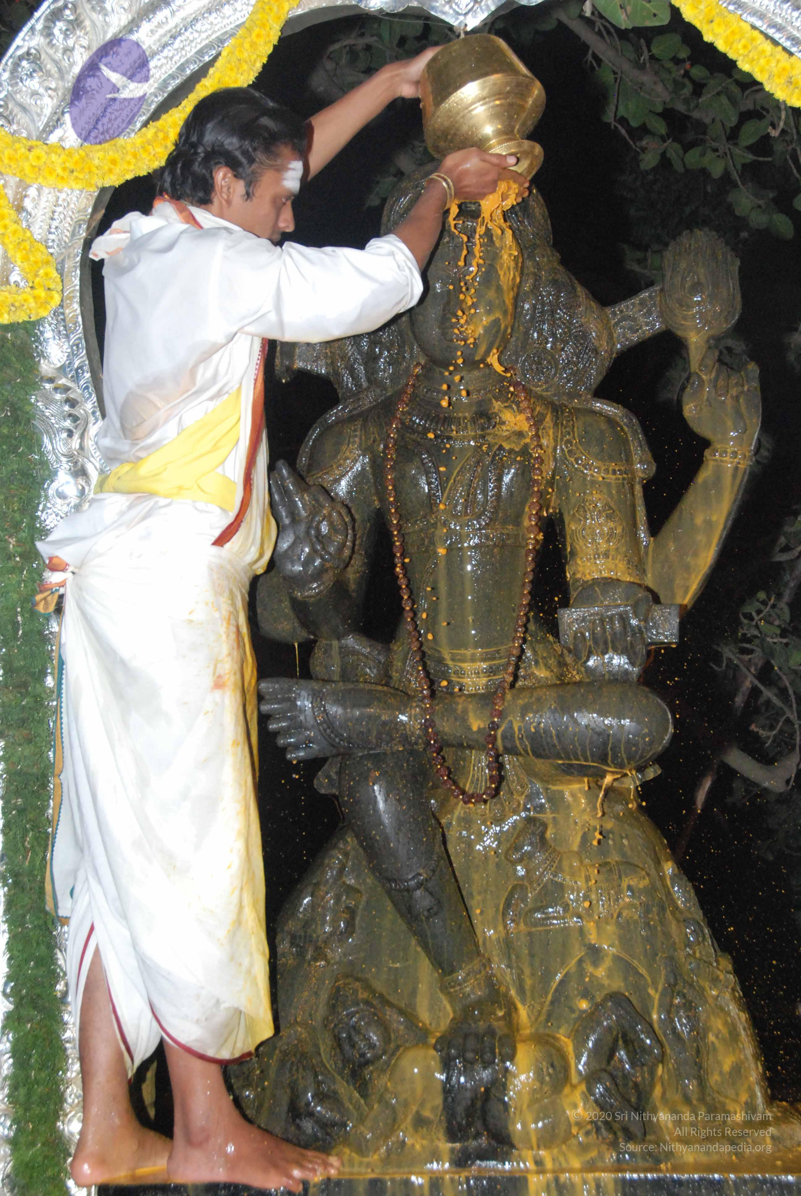 20100101_Photo_1050_DSC_1584_CMP_WM