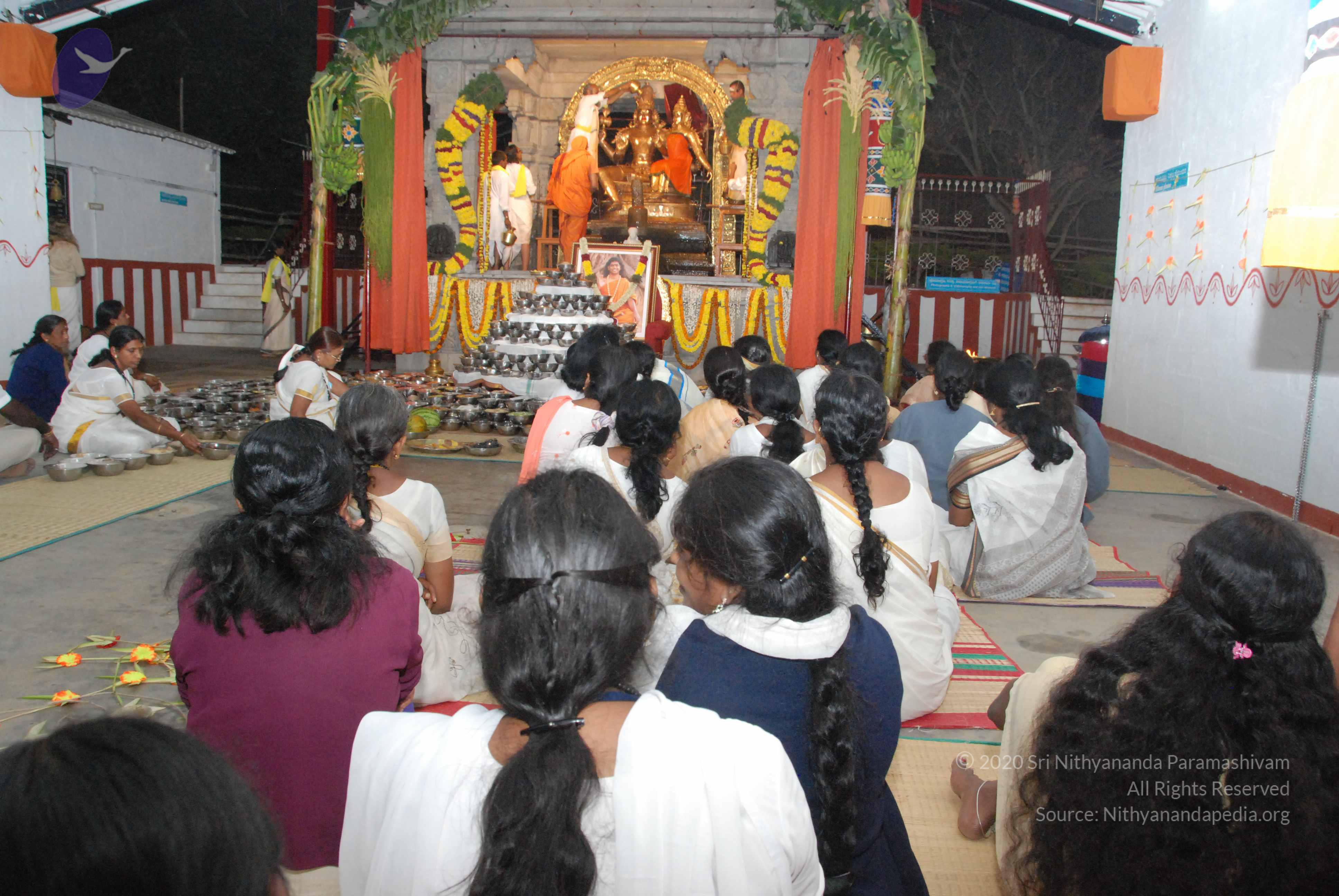 20100101_Photo_1056_DSC_1592_CMP_WM