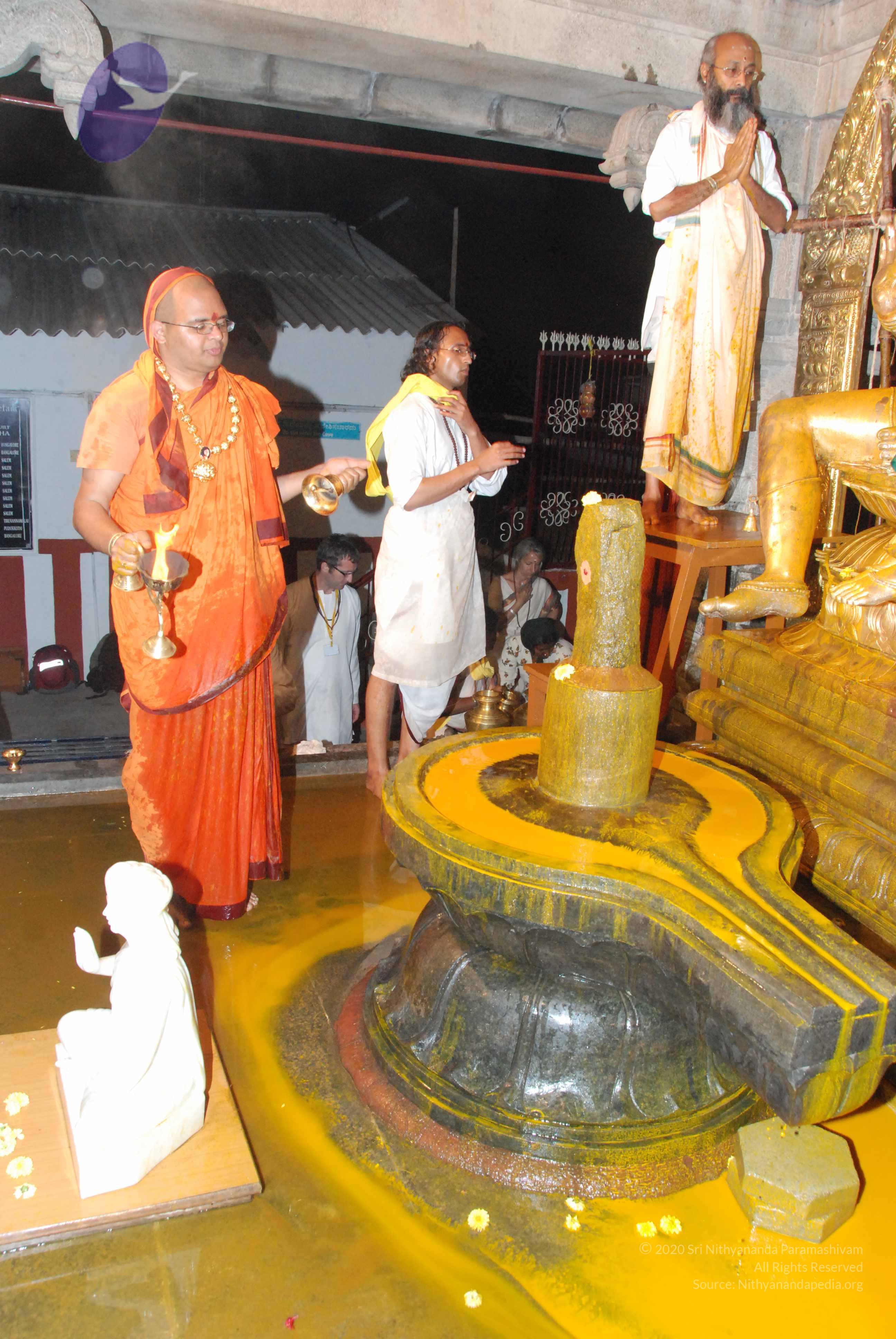 20100101_Photo_1057_DSC_1574_CMP_WM