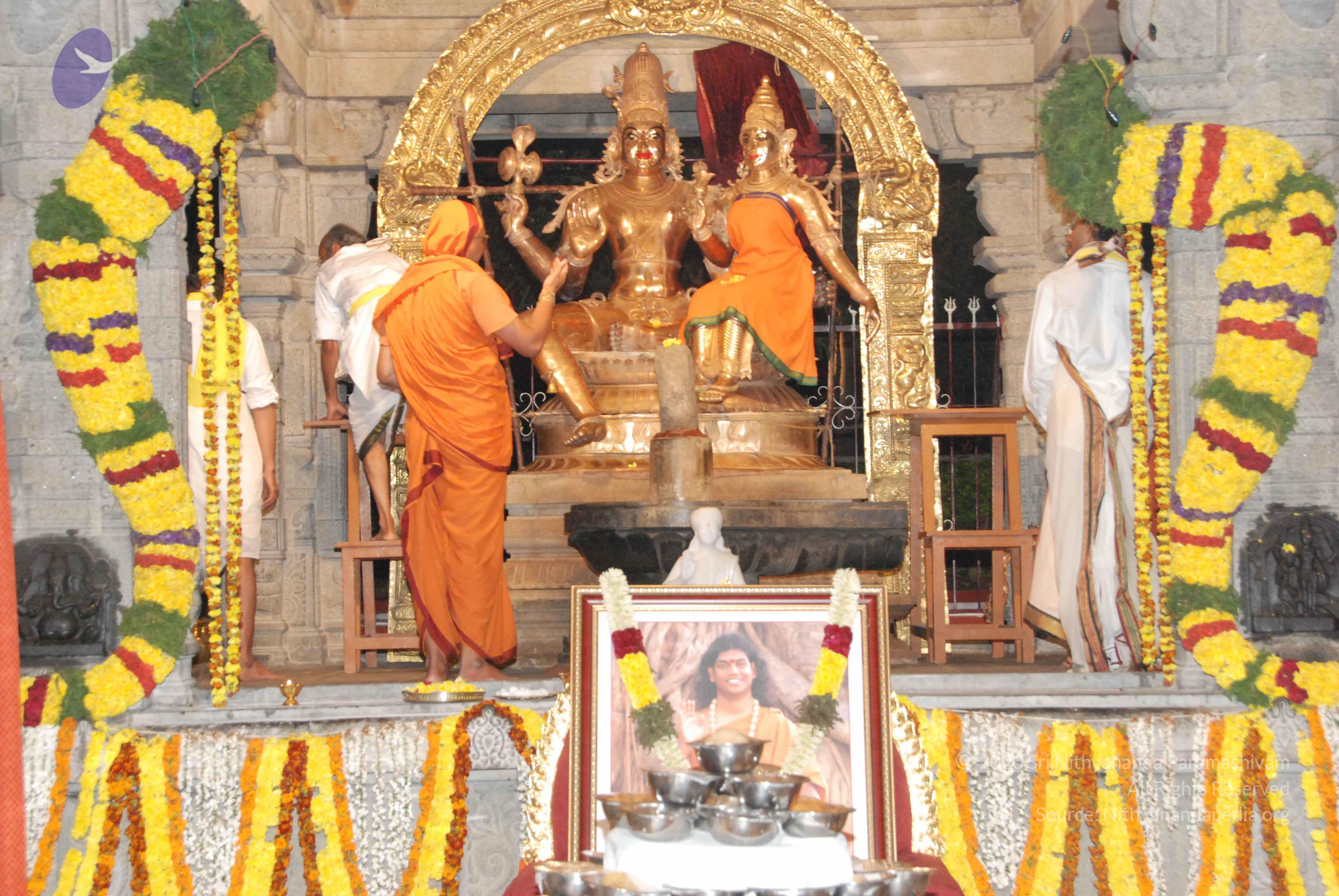 20100101_Photo_1058_DSC_1543_CMP_WM