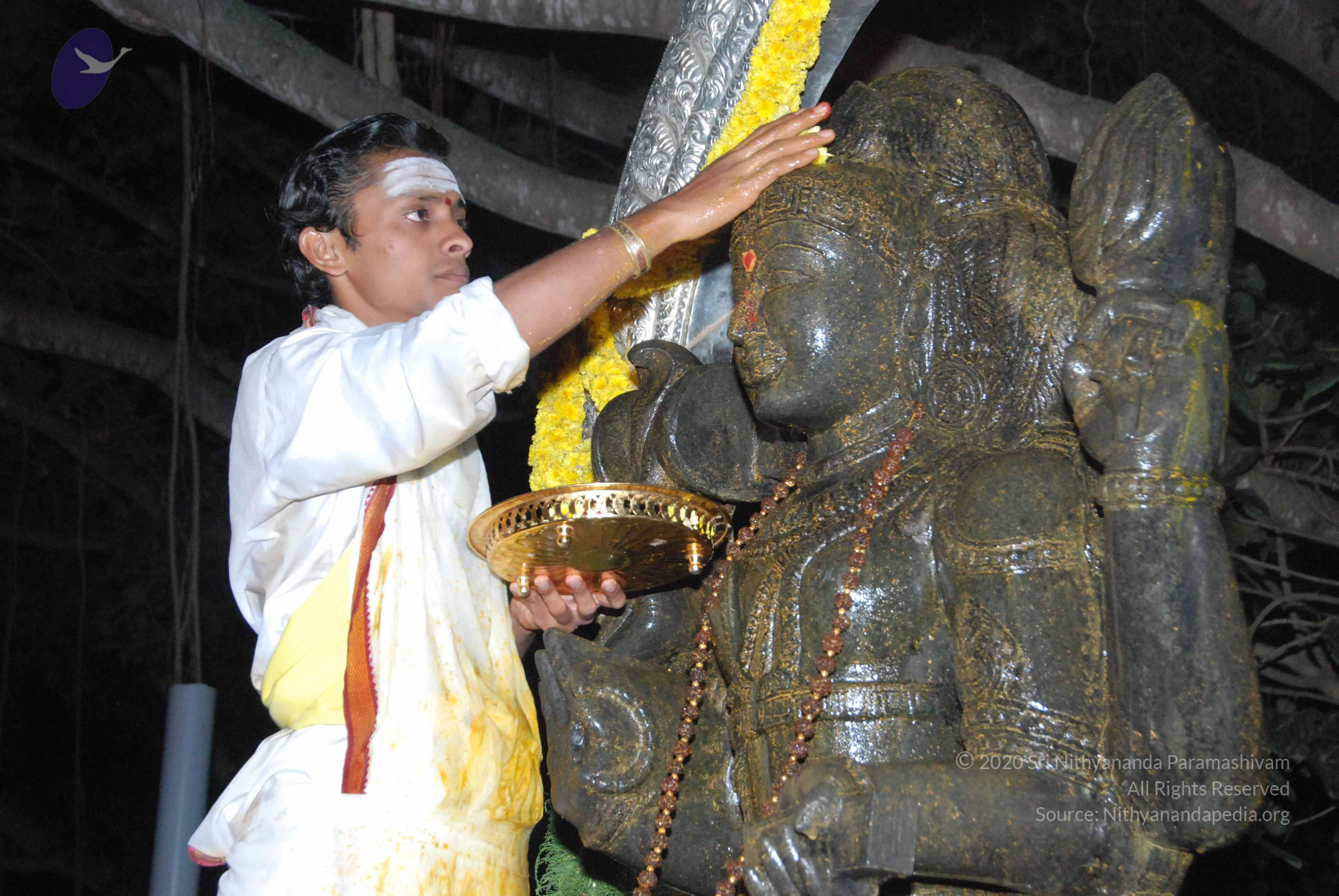 20100101_Photo_1061_DSC_1586_CMP_WM