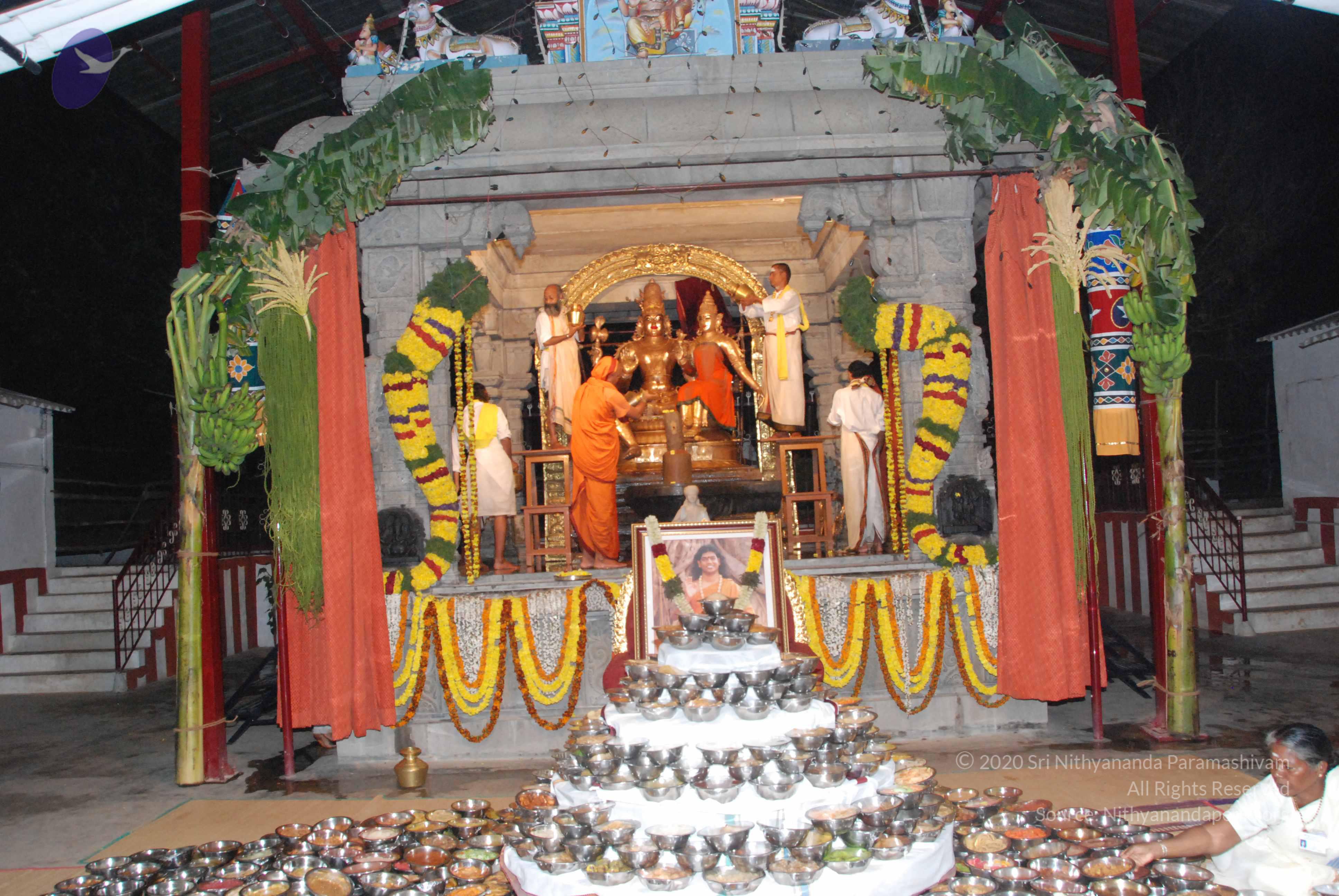 20100101_Photo_1063_DSC_1552_CMP_WM