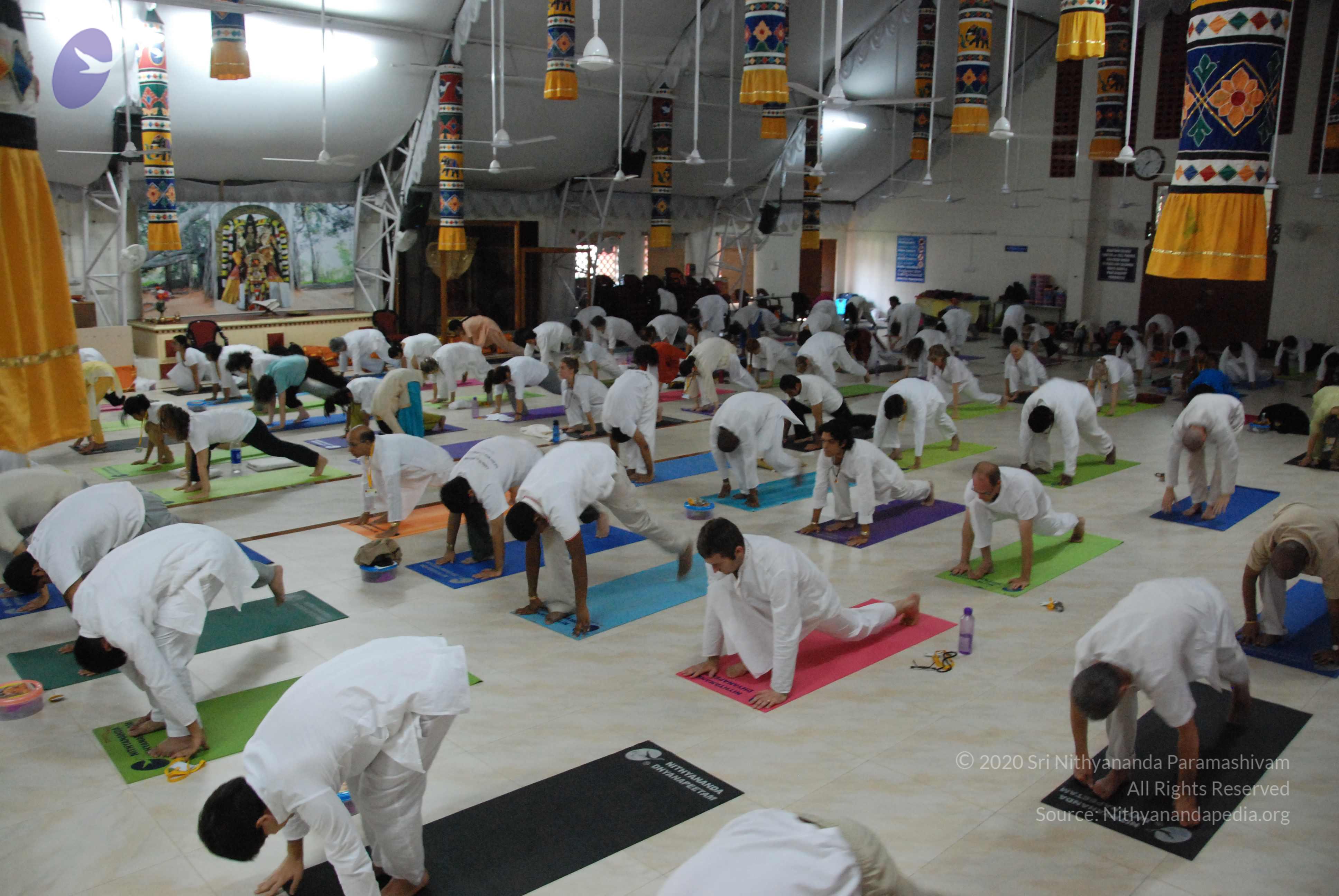 20100101_Photo_1004_DSC_3709_CMP_WM