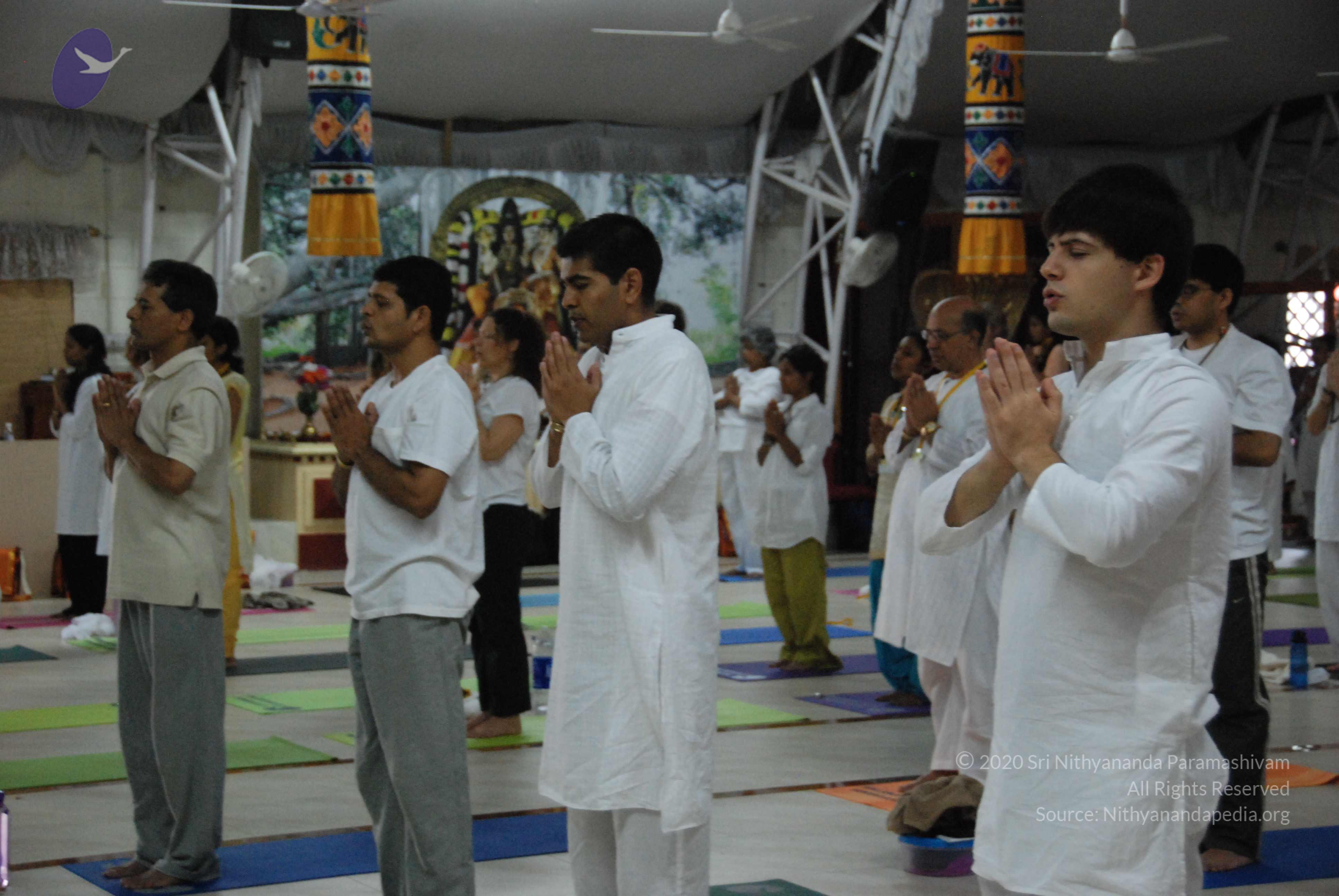 20100101_Photo_1017_DSC_3716_CMP_WM