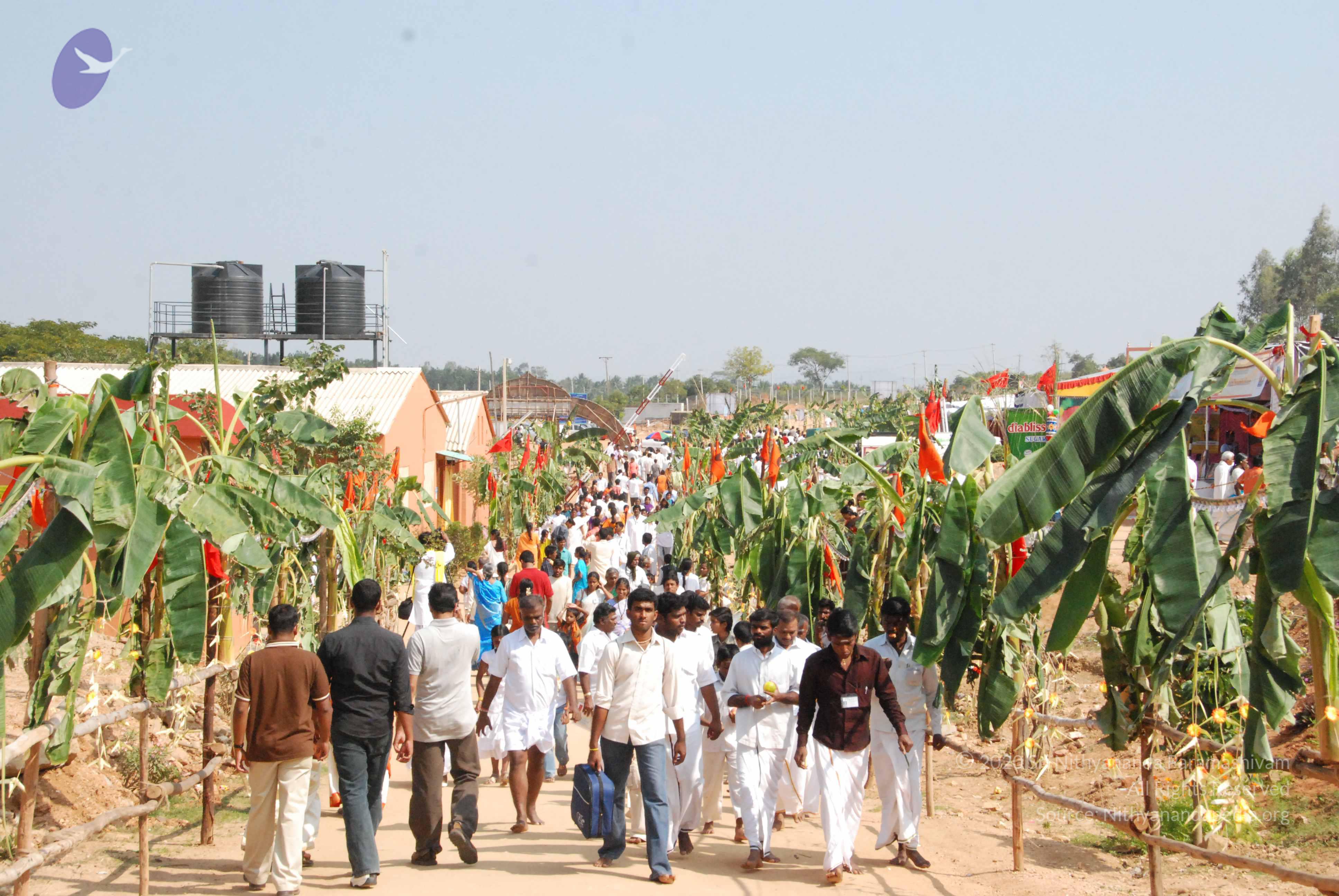 20100101_Photo_1015_DSC_2275_CMP_WM