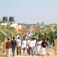 20100101_Photo_1015_DSC_2275_CMP_WM