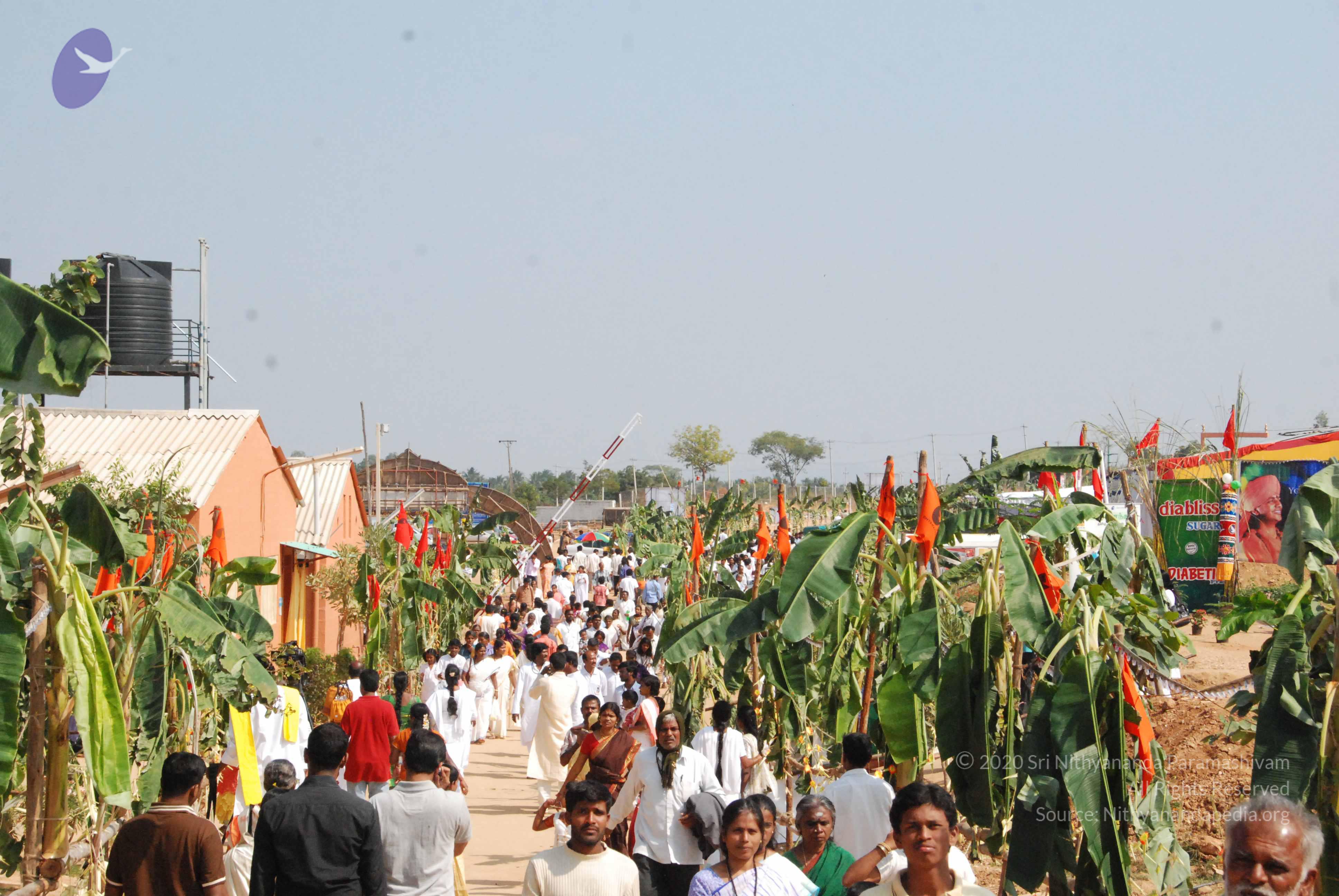 20100101_Photo_1020_DSC_2276_CMP_WM