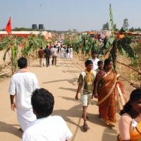 20100101_Photo_1031_DSC_2274_CMP_WM