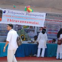 20100101_Photo_1033_DSC_2271_CMP_WM