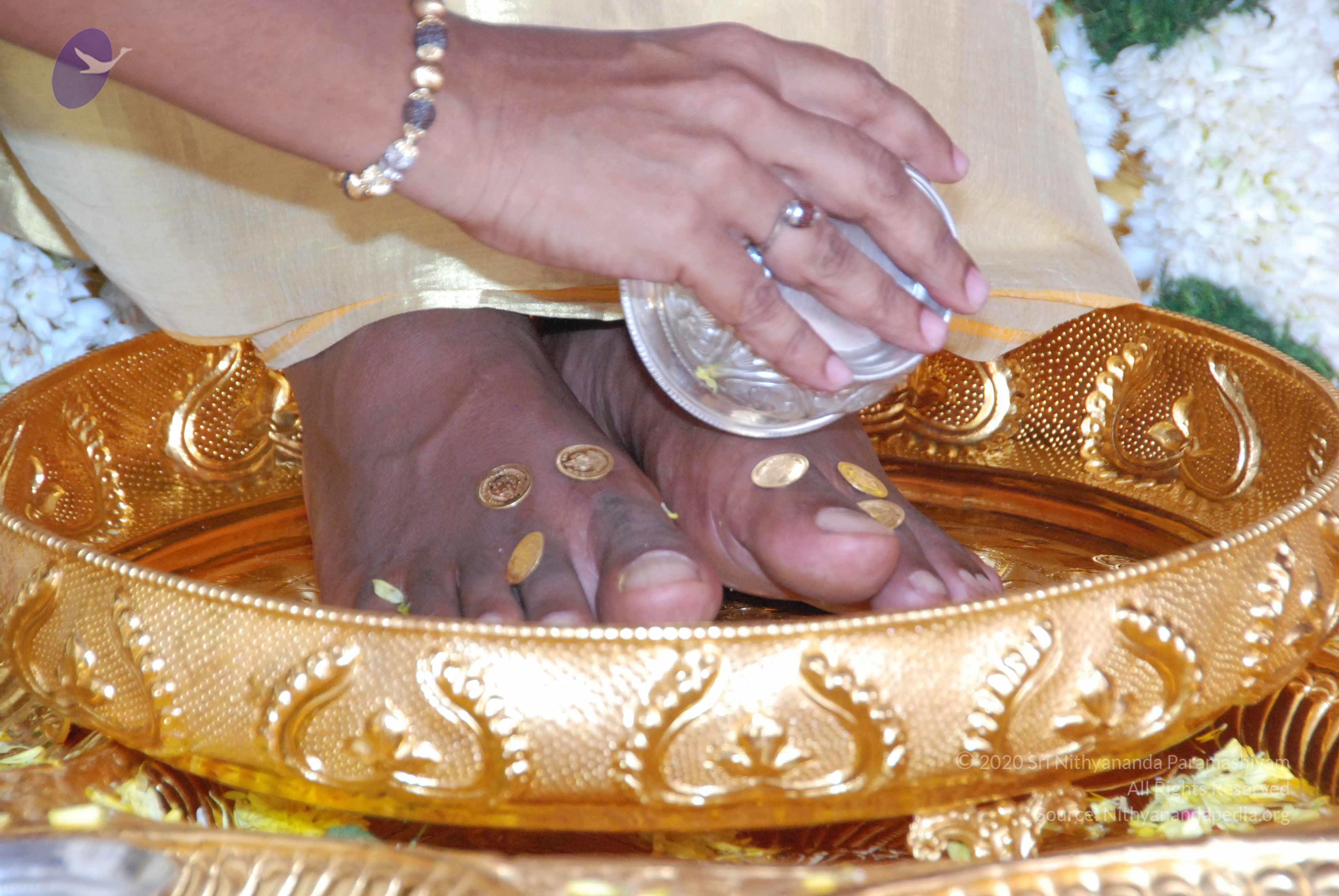 20100101_Photo_1017_DSC_2135_CMP_WM