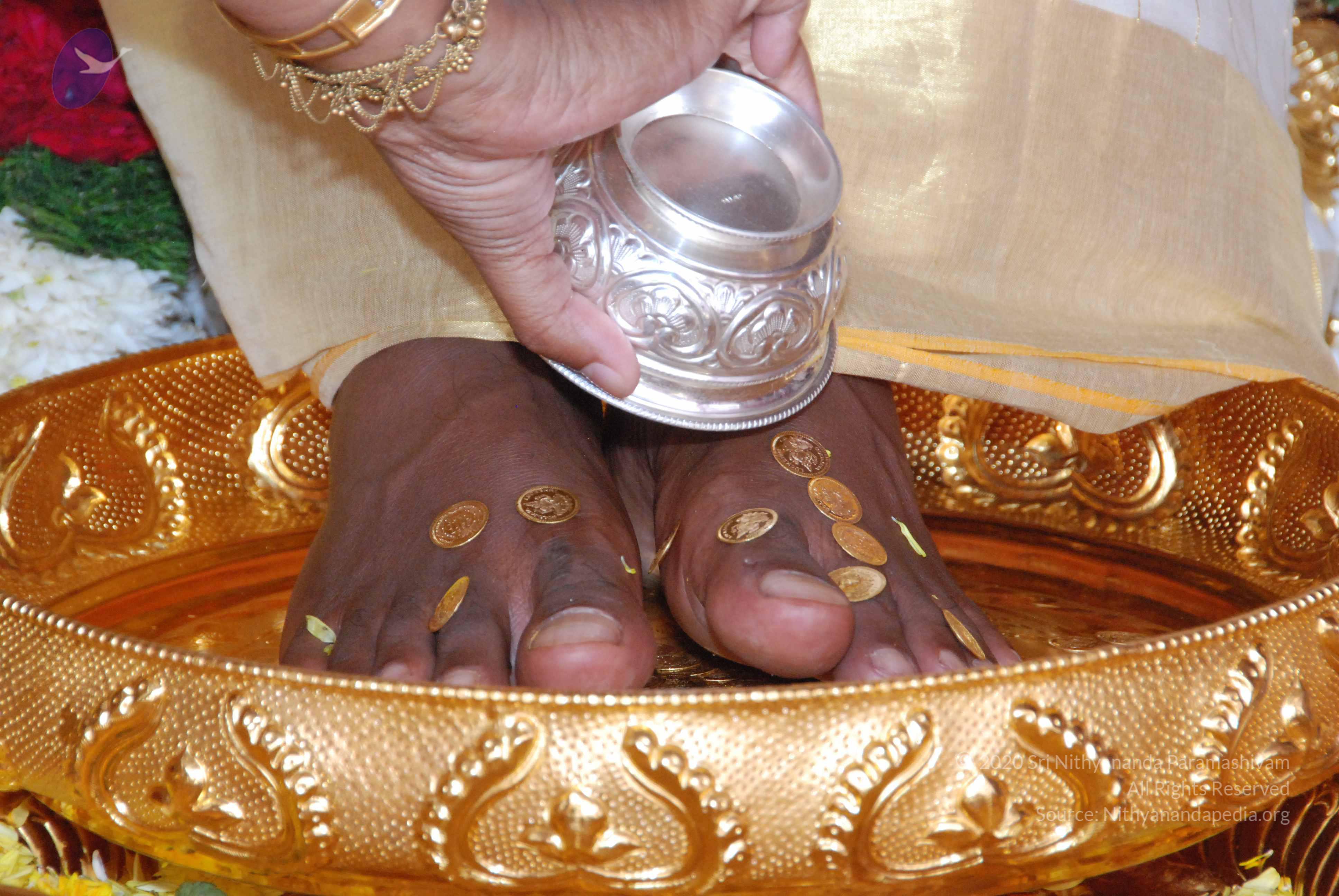 20100101_Photo_1041_DSC_2139_CMP_WM