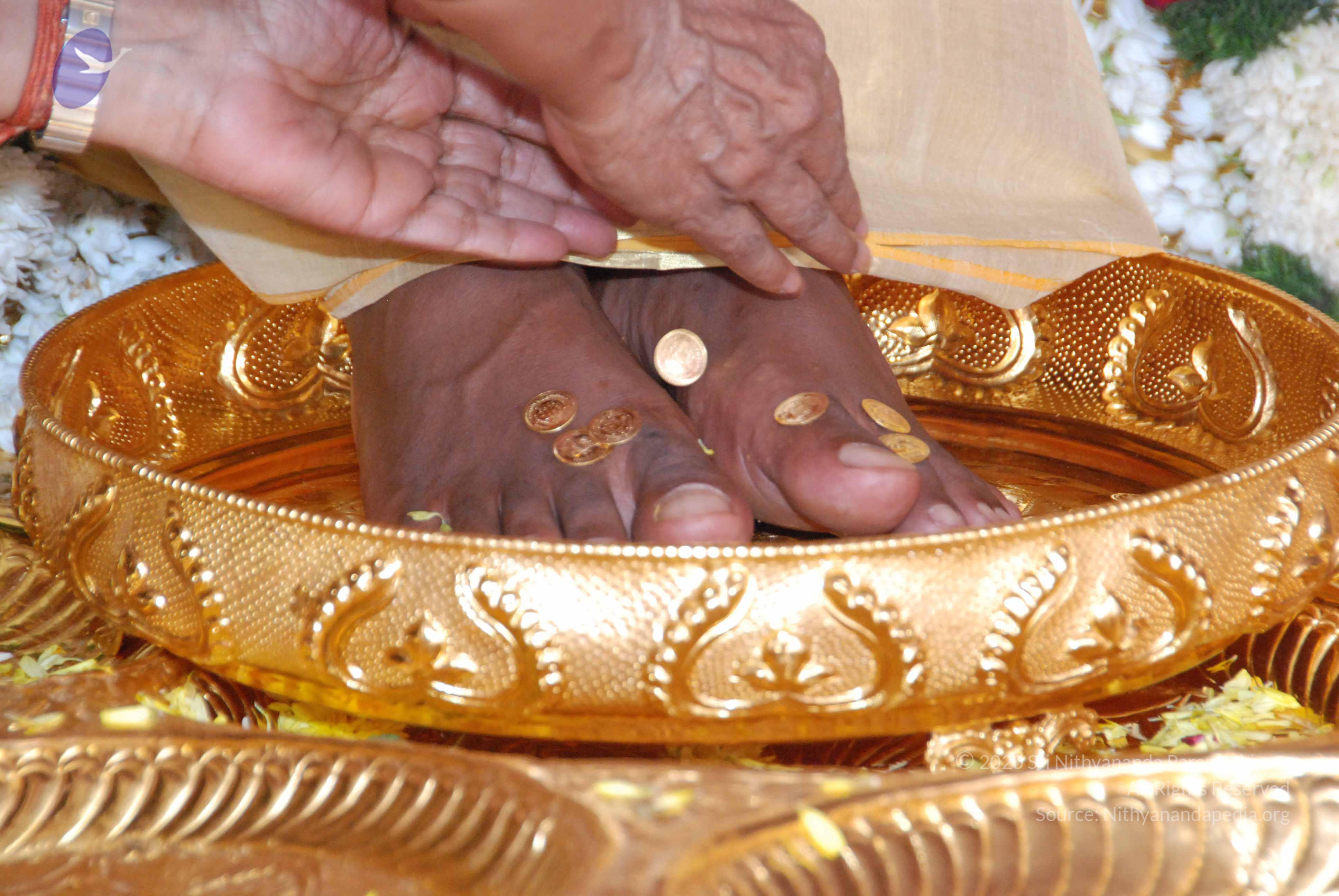 20100101_Photo_1043_DSC_2134_CMP_WM