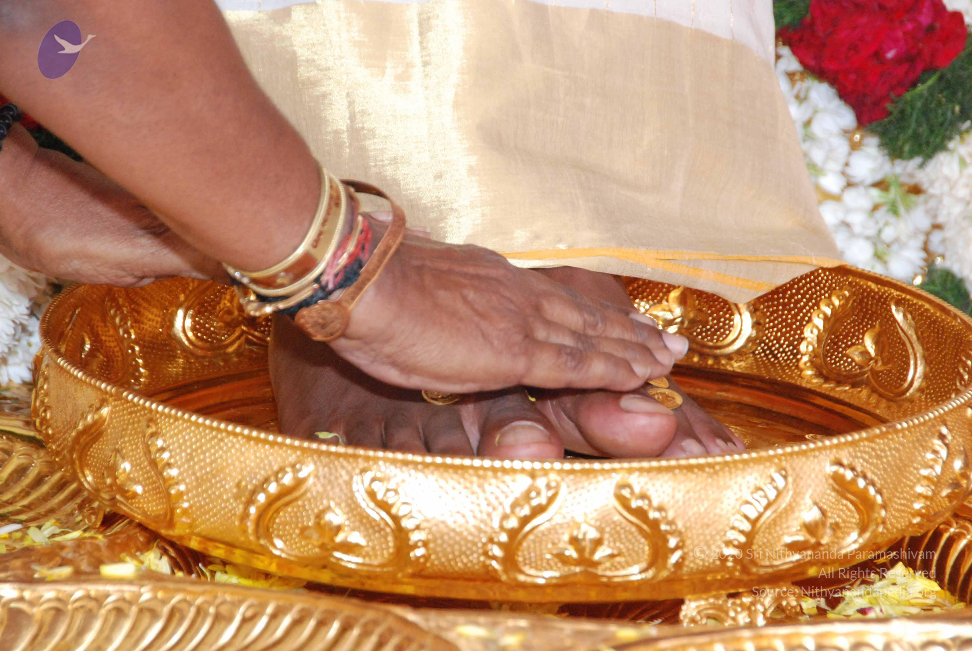 20100101_Photo_1066_DSC_2133_CMP_WM