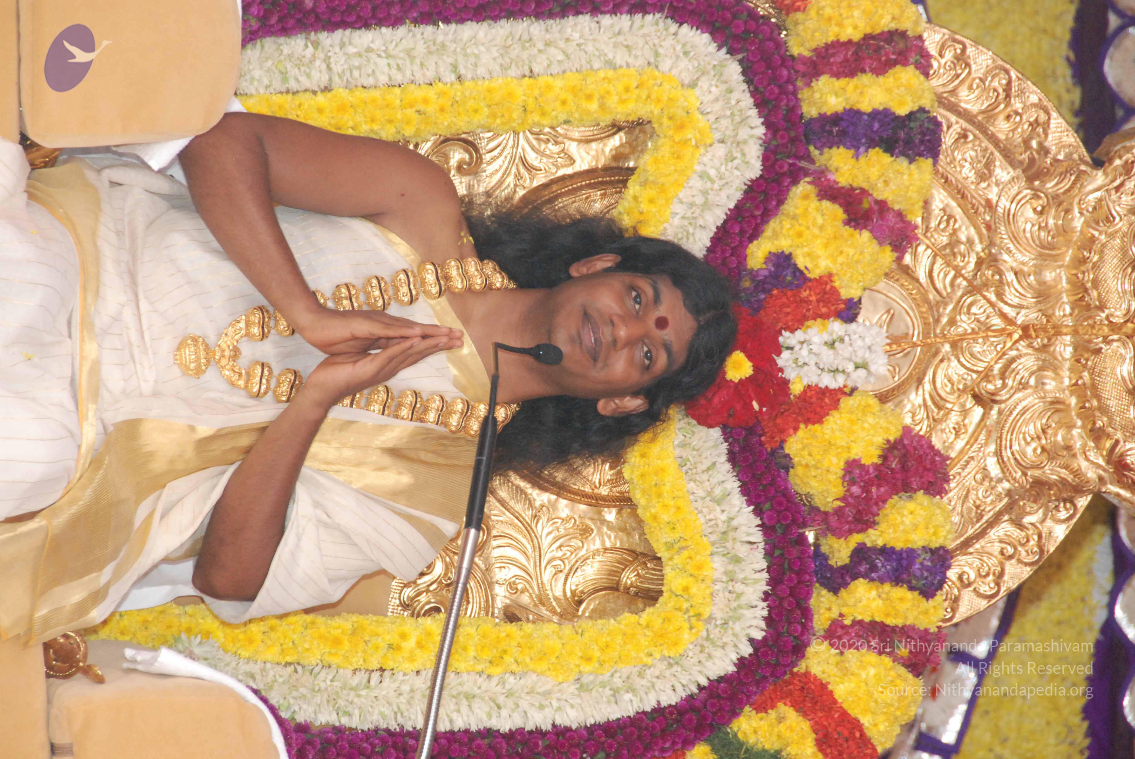 20100101_Photo_1000_DSC_2013_CMP_WM