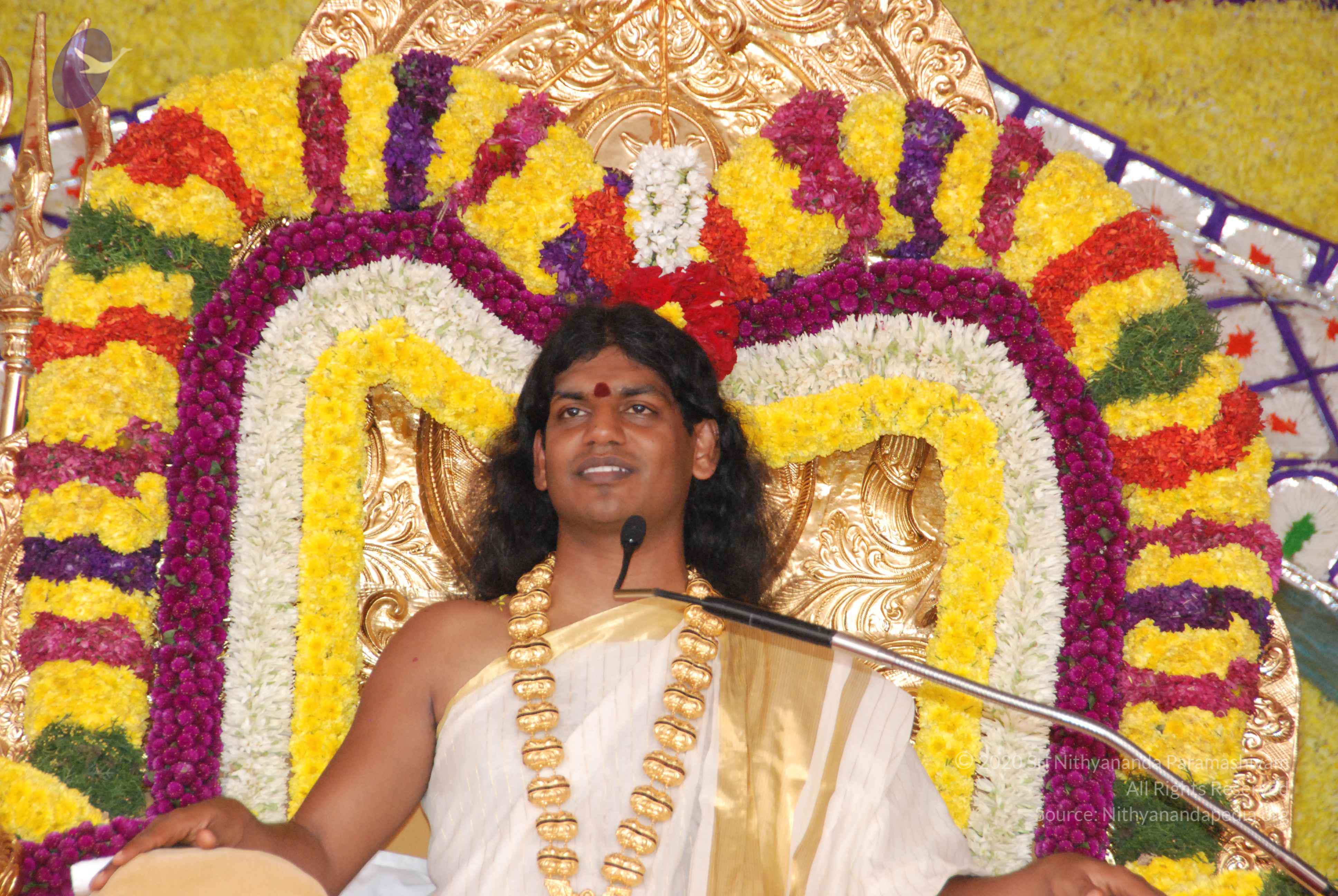 20100101_Photo_1007_DSC_2035_CMP_WM