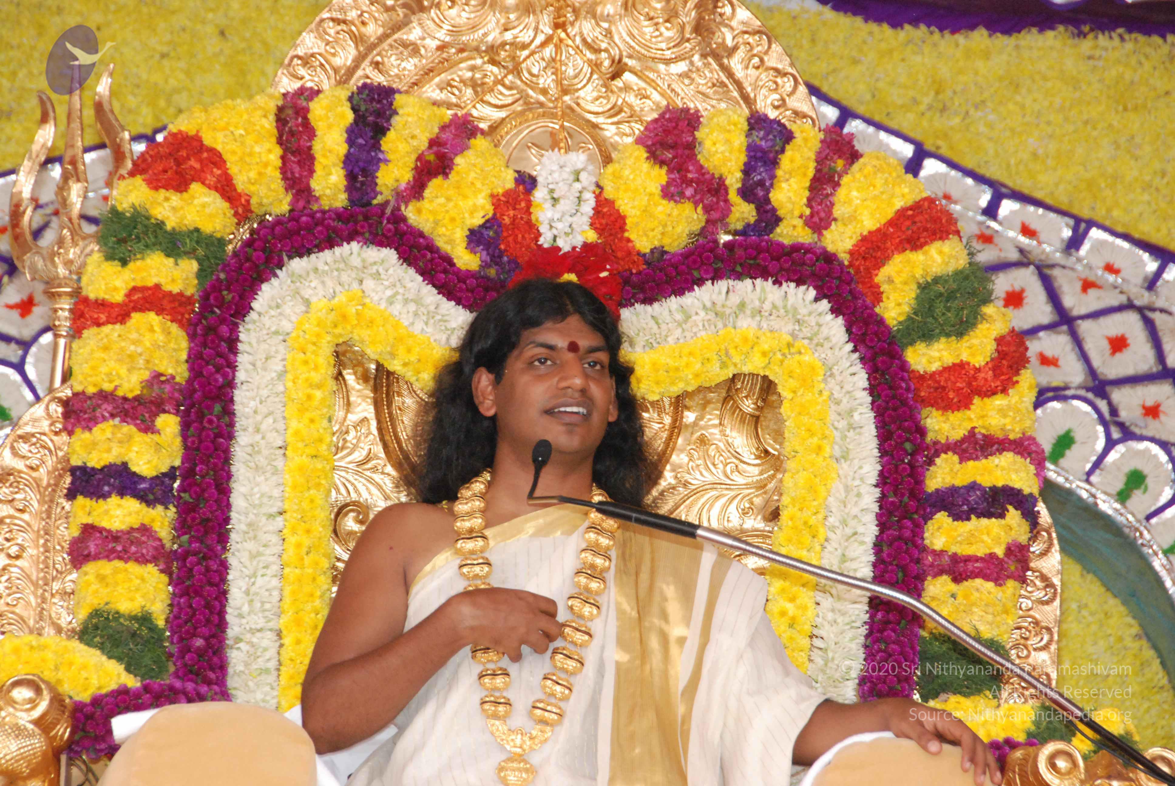 20100101_Photo_1012_DSC_2043_CMP_WM