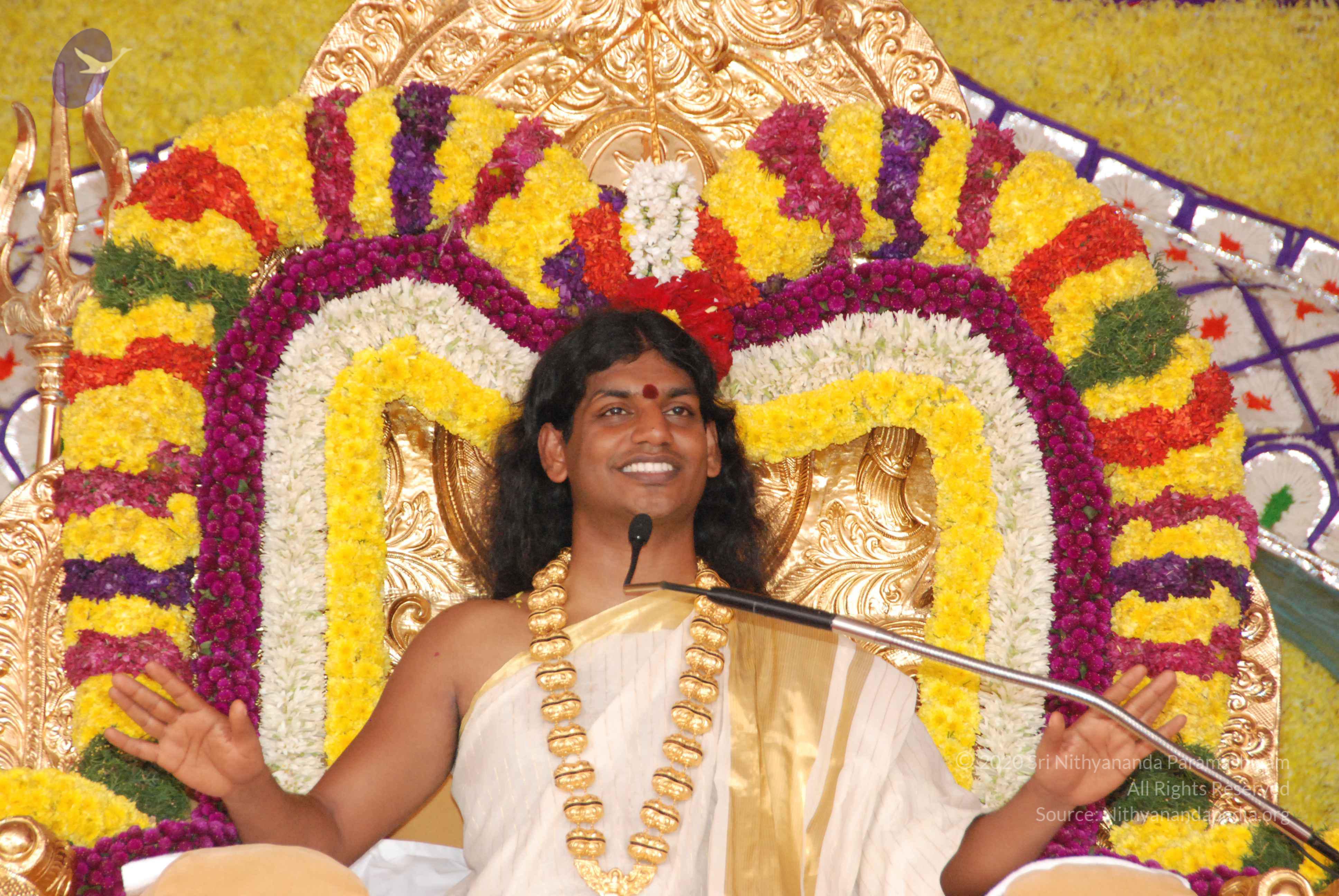 20100101_Photo_1021_DSC_2037_CMP_WM