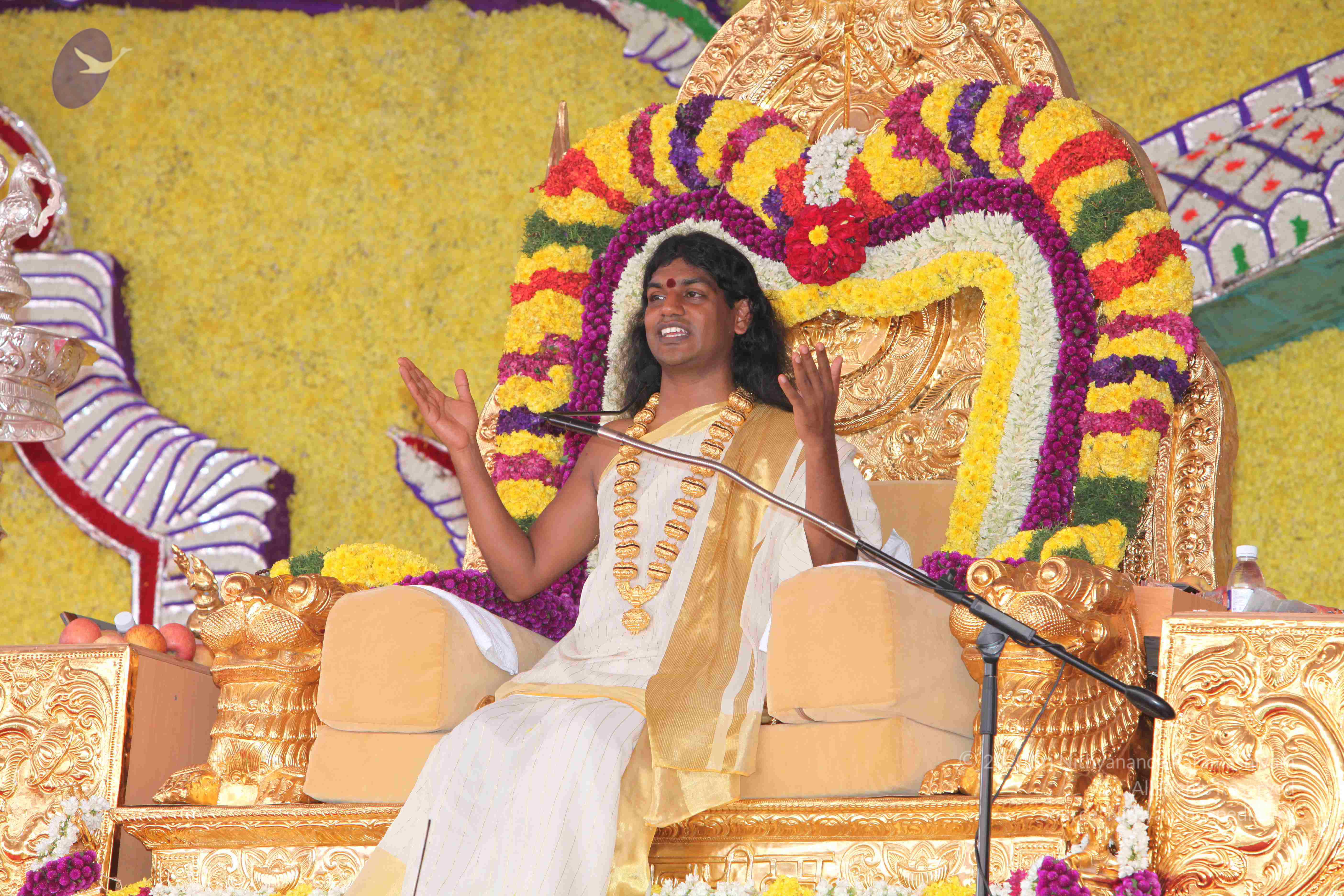 20100101_Photo_1042_IMG_4887_CMP_WM