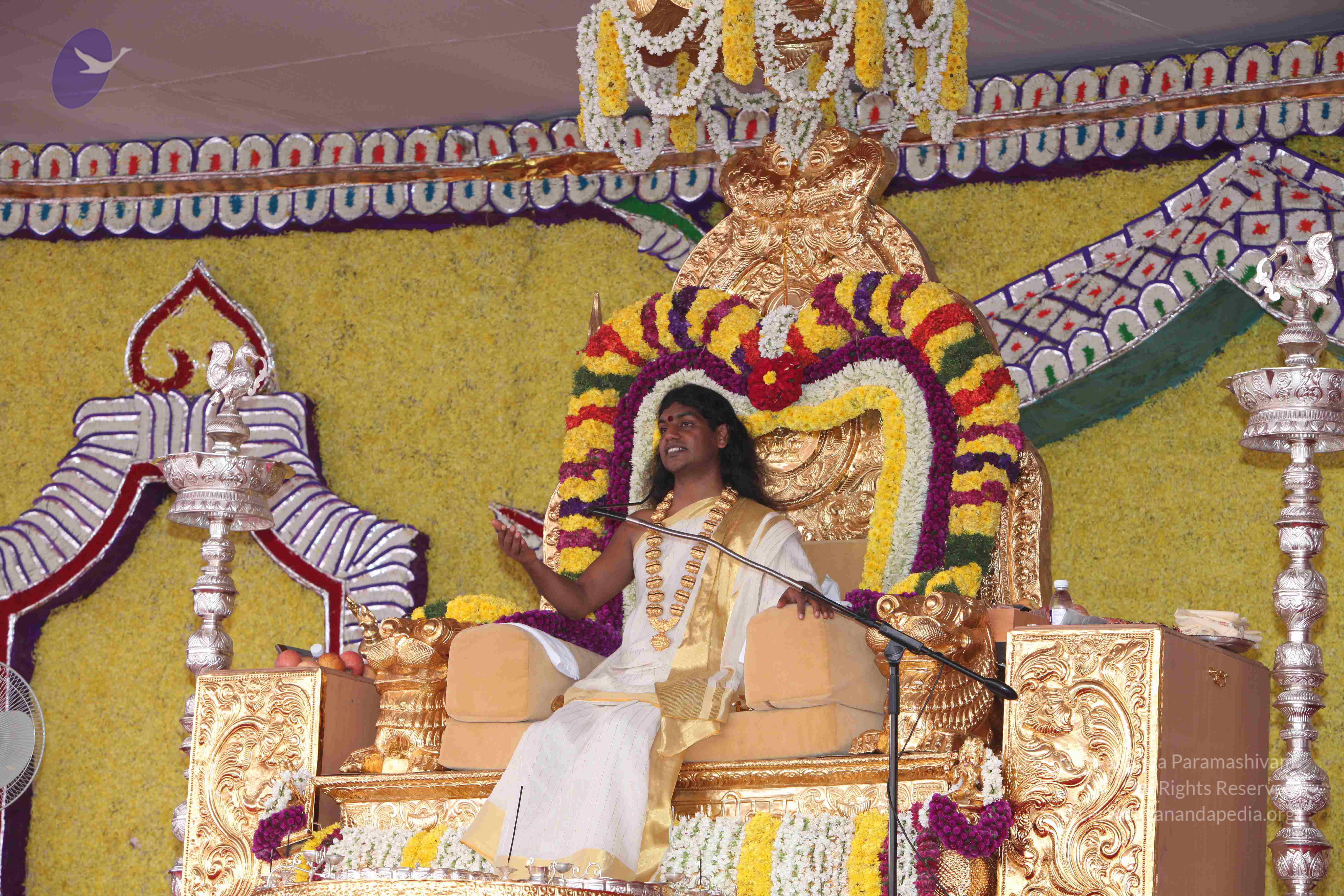 20100101_Photo_1045_IMG_4864_CMP_WM